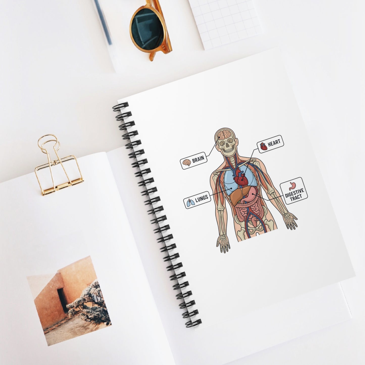 Human Anatomy Spiral Notebook — Ruled Medical Study Notebook for Medicine Students