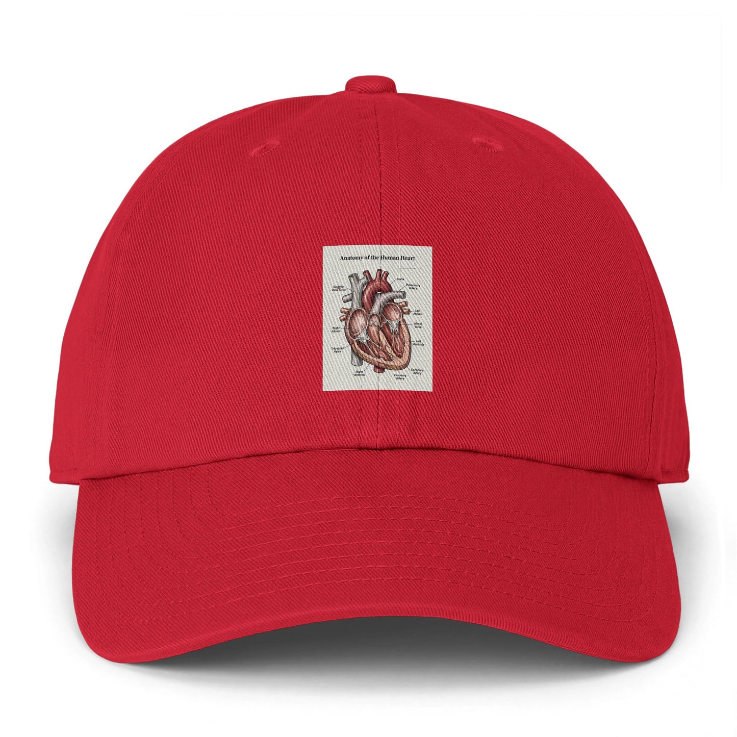 Anatomical Heart Embroidered Cap — Vintage Medical Illustration Dad Hat
