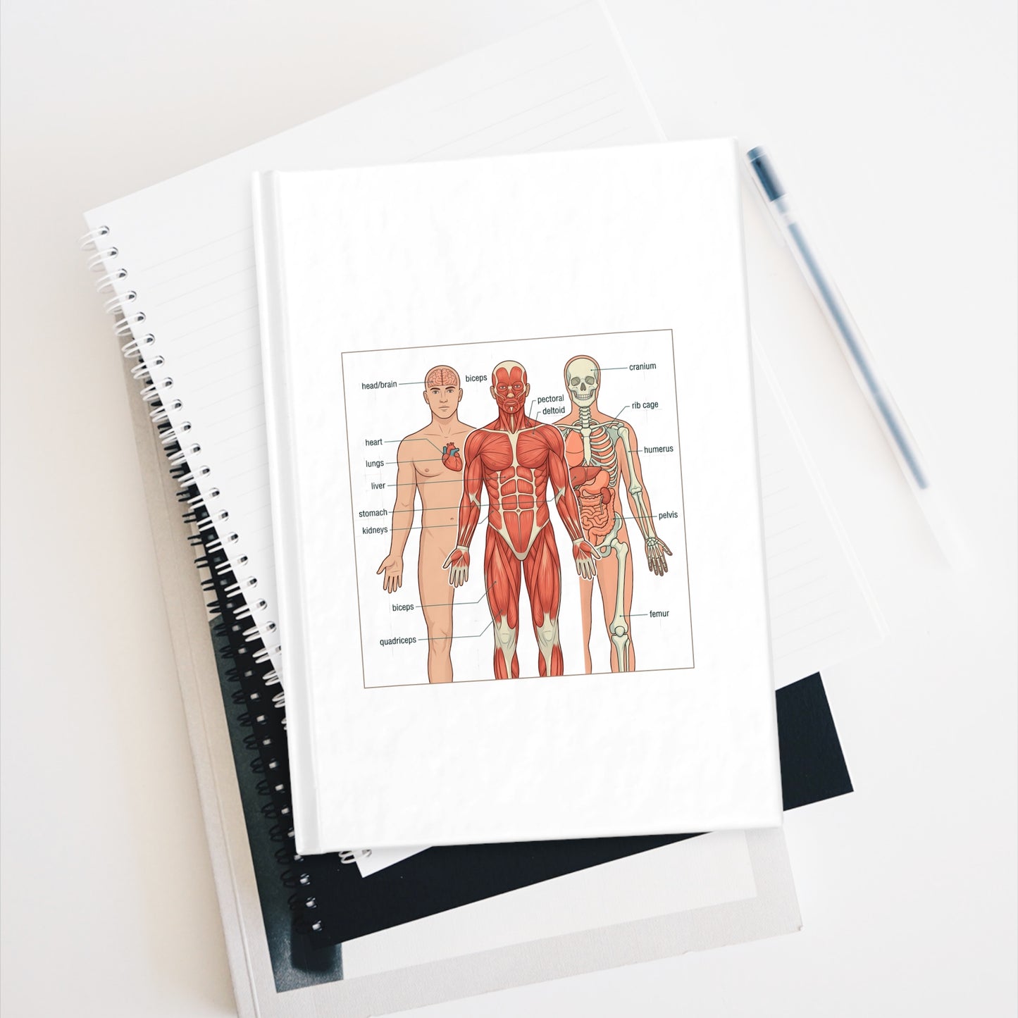 Human Anatomy Study Journal — Medicine Student Notebook