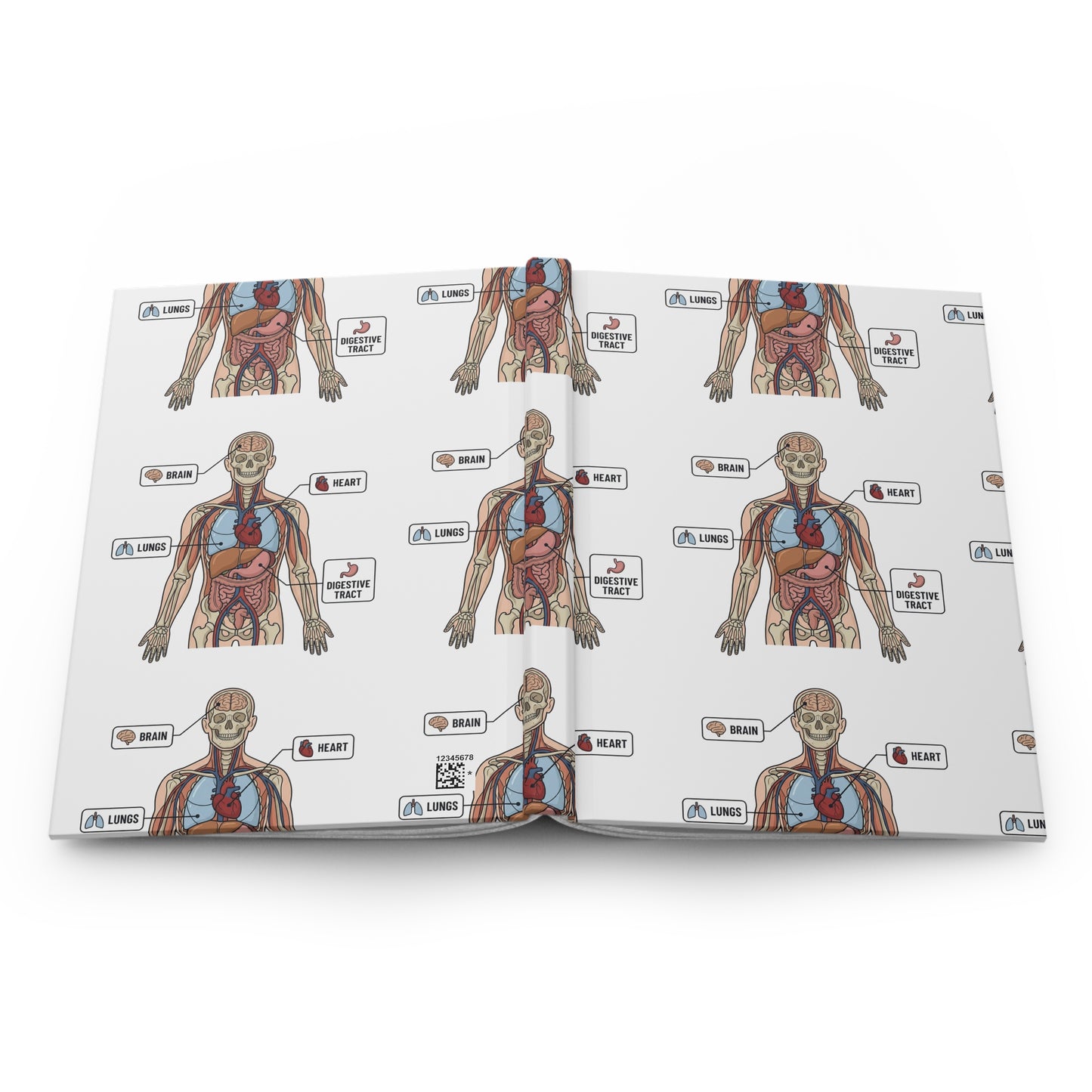 Human Anatomy Hardcover Journal — Medical Student Anatomy Notebook