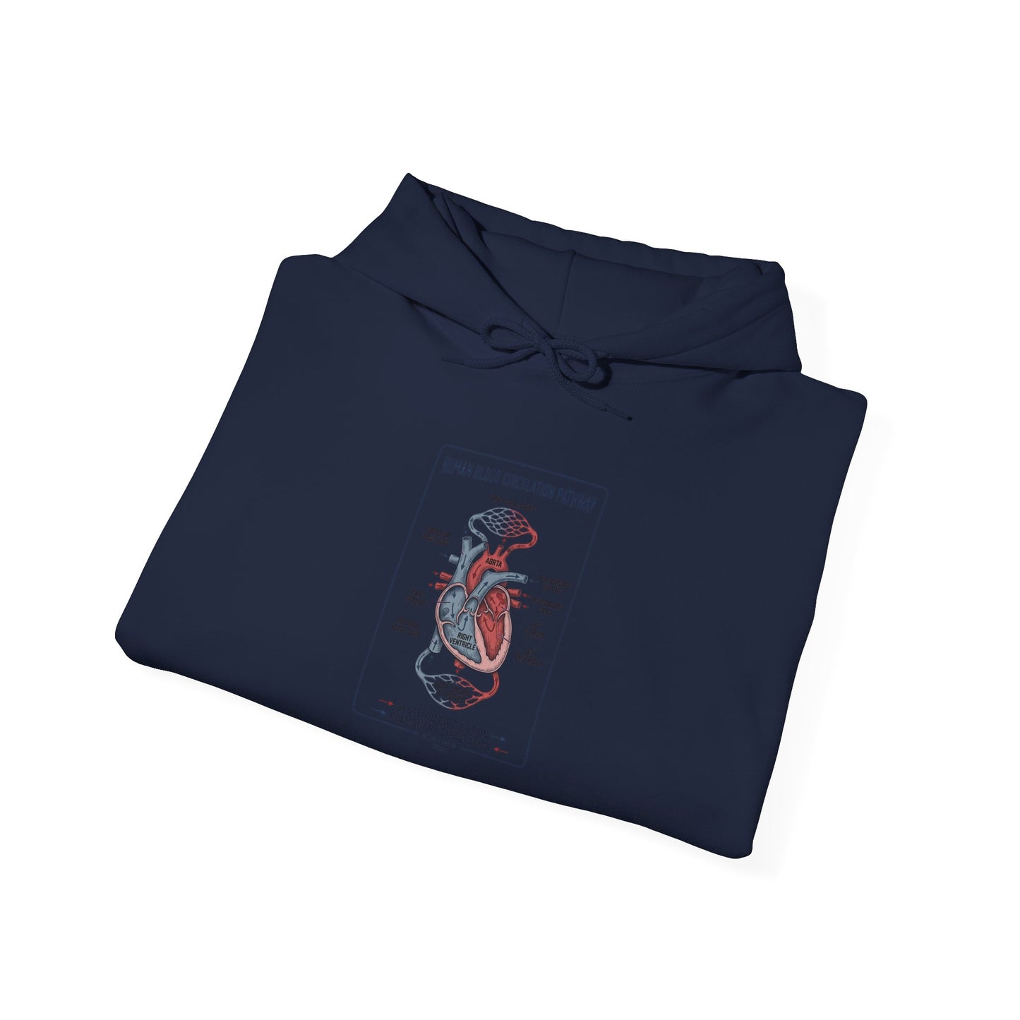 250th Anniversary Patriotic Anatomy Heart Hoodie | 4th of July Independence Sweatshirt