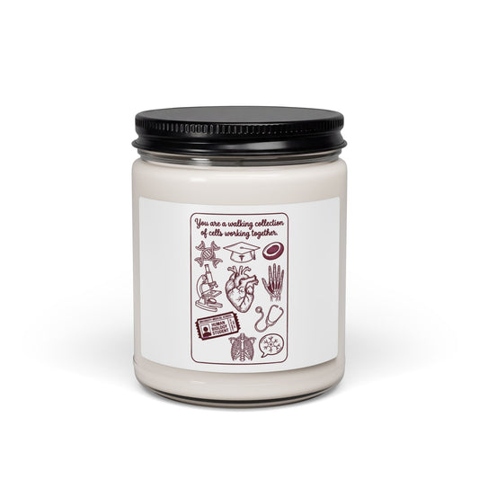 Philadelphia Baseball Pride Candle | City Fan Soy Candle, Local Sportswear Vibe