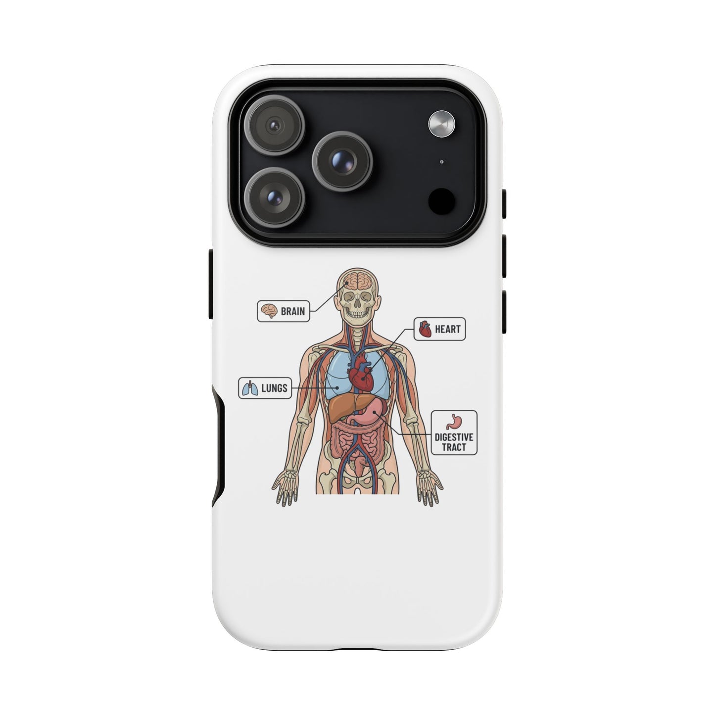 Anatomy Case — Medical Student Human Anatomy Study Aid
