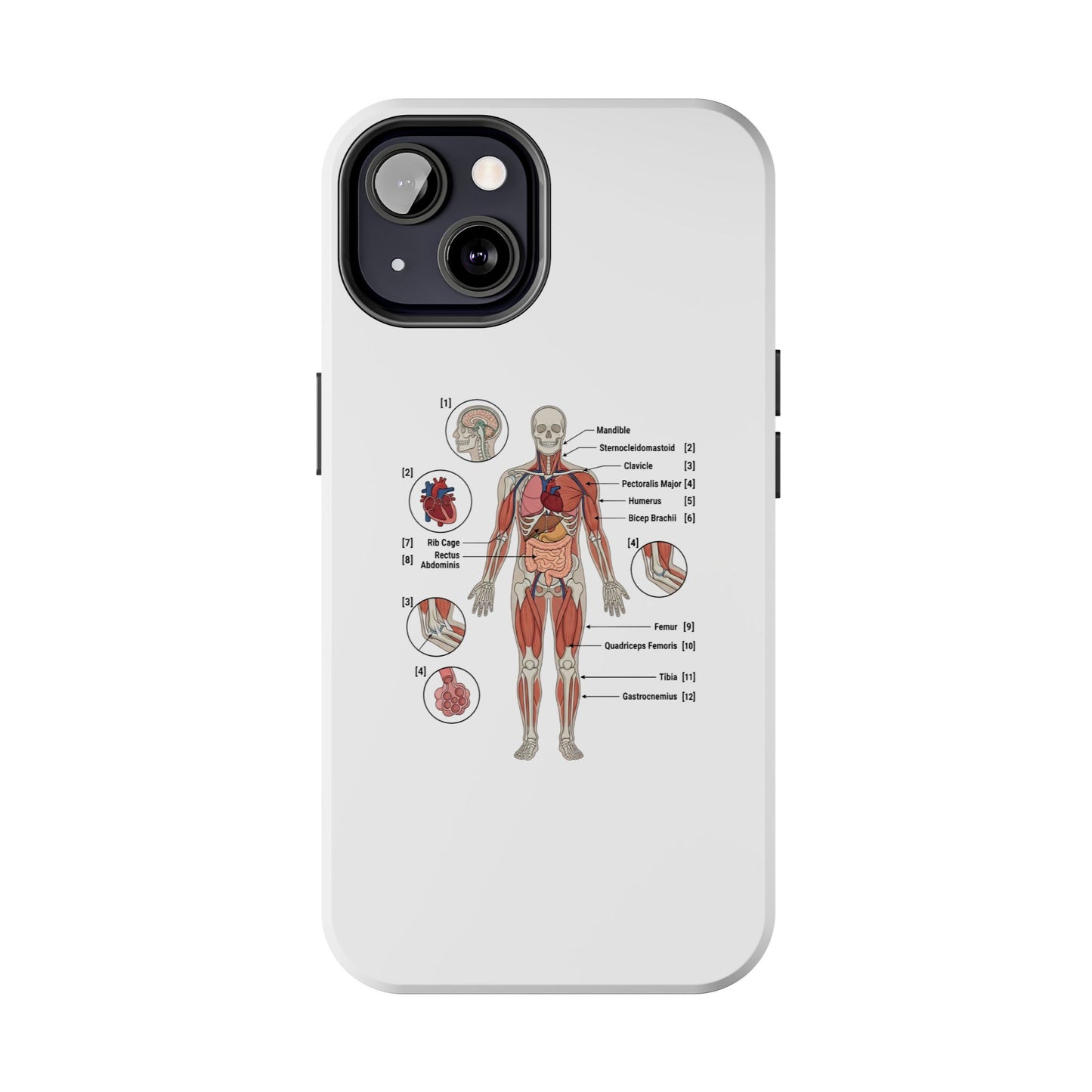 Anatomy Study Phone Case — Human Anatomy Diagram for Medical Students