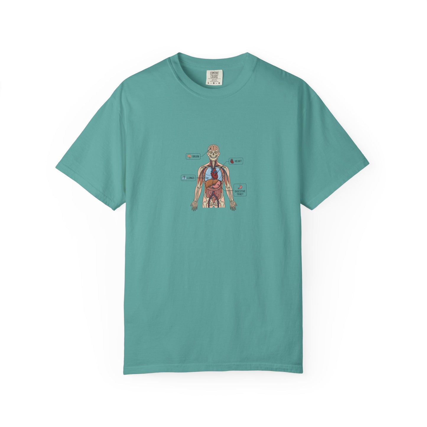 Human Anatomy Diagram T-Shirt — Medical Student Anatomy Tee
