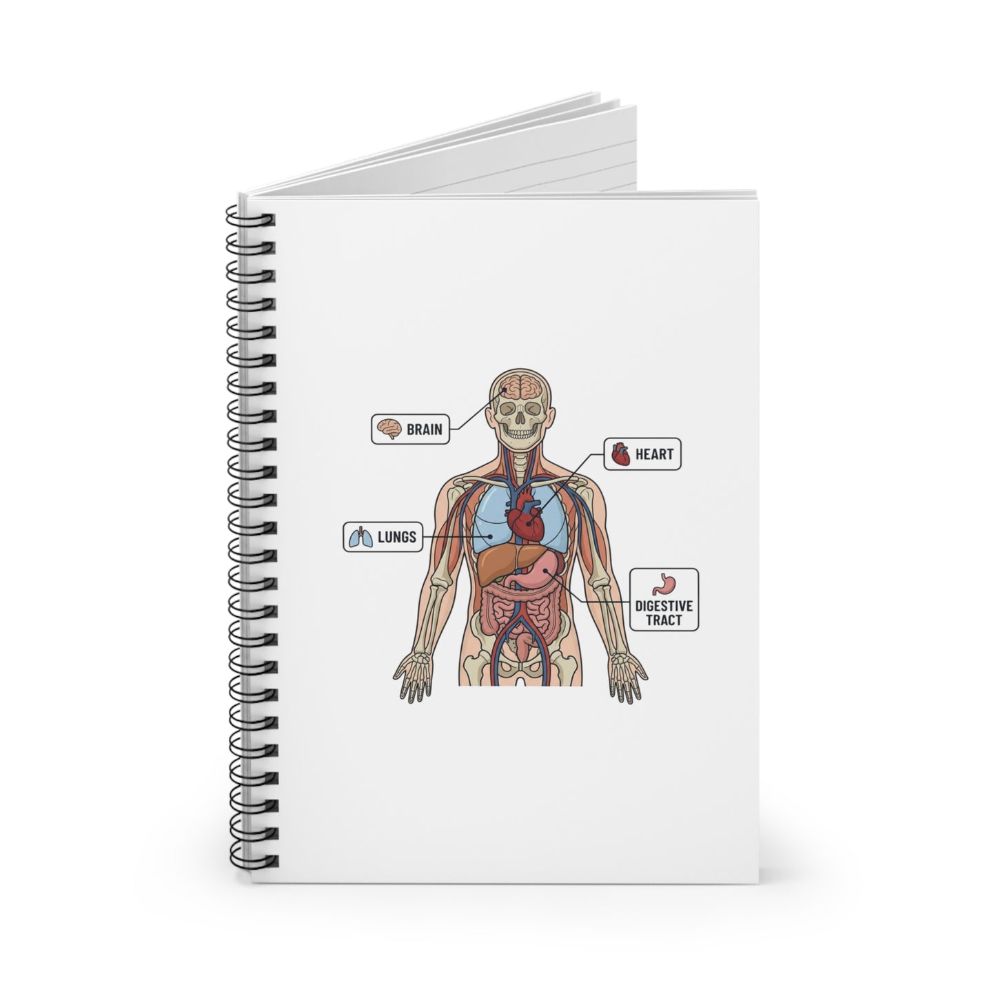 Human Anatomy Spiral Notebook — Ruled Medical Study Notebook for Medicine Students