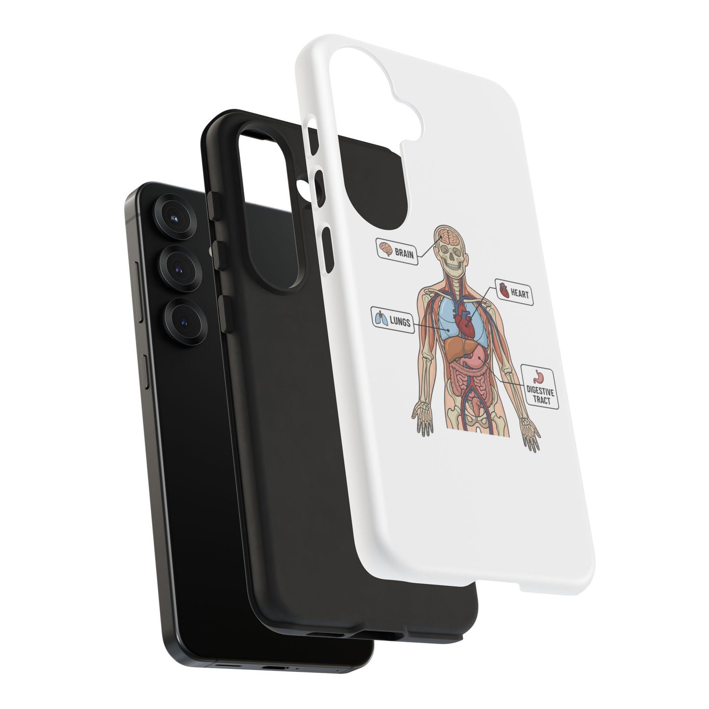 Anatomy Case — Medical Student Human Anatomy Study Aid