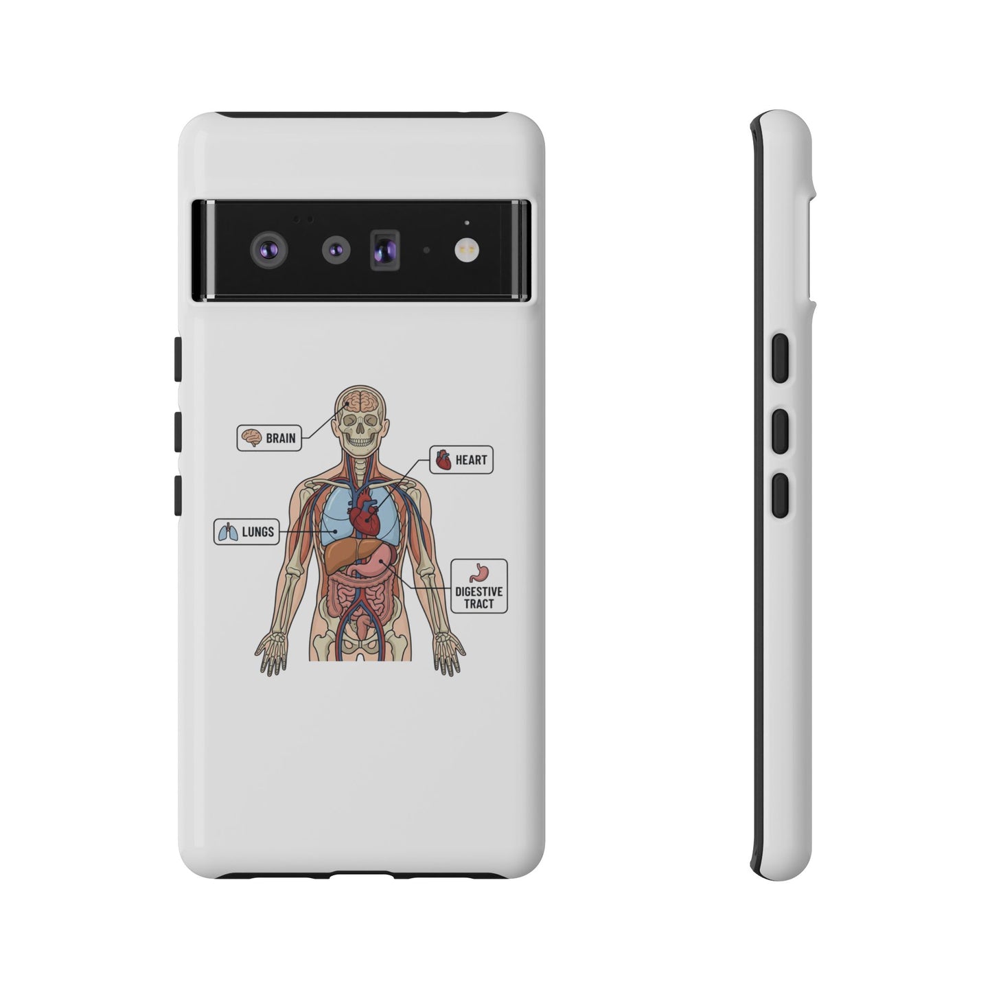 Anatomy Case — Medical Student Human Anatomy Study Aid