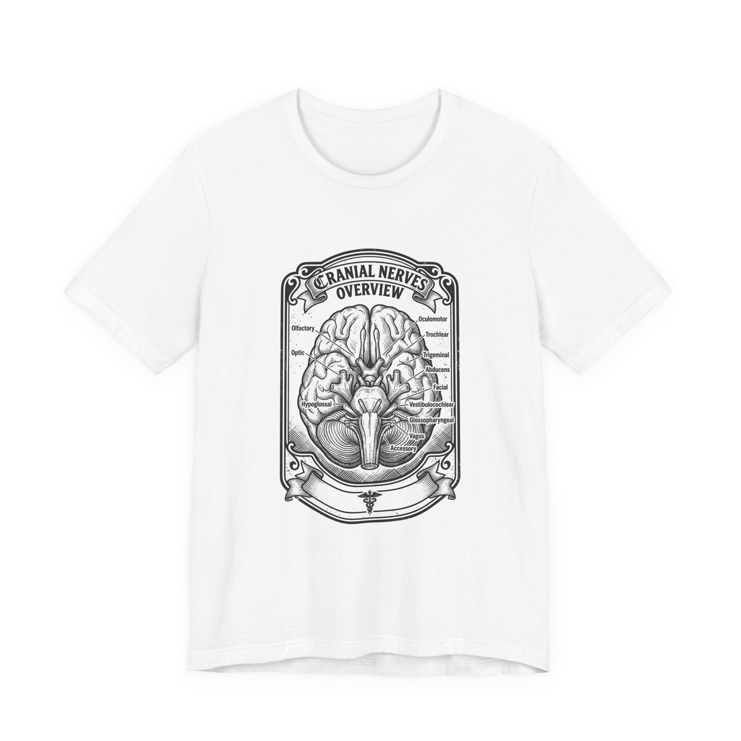 Cranial Nerves Illustration Tee | People Over Profit, Values-Led Apparel