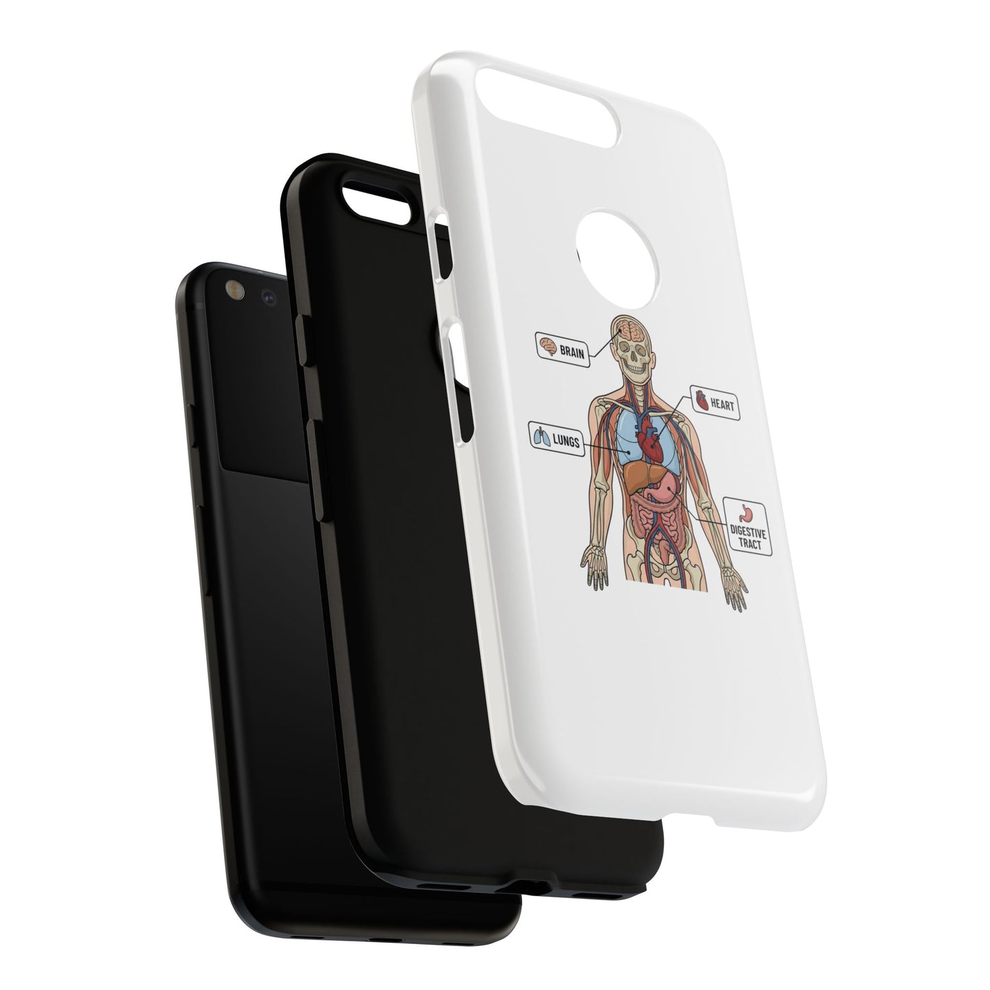 Anatomy Case — Medical Student Human Anatomy Study Aid