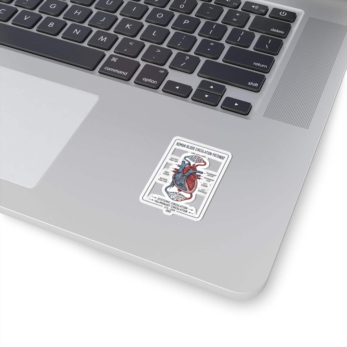 250th Anniversary Patriotic Heart Diagram Sticker | 4th of July Commemorative