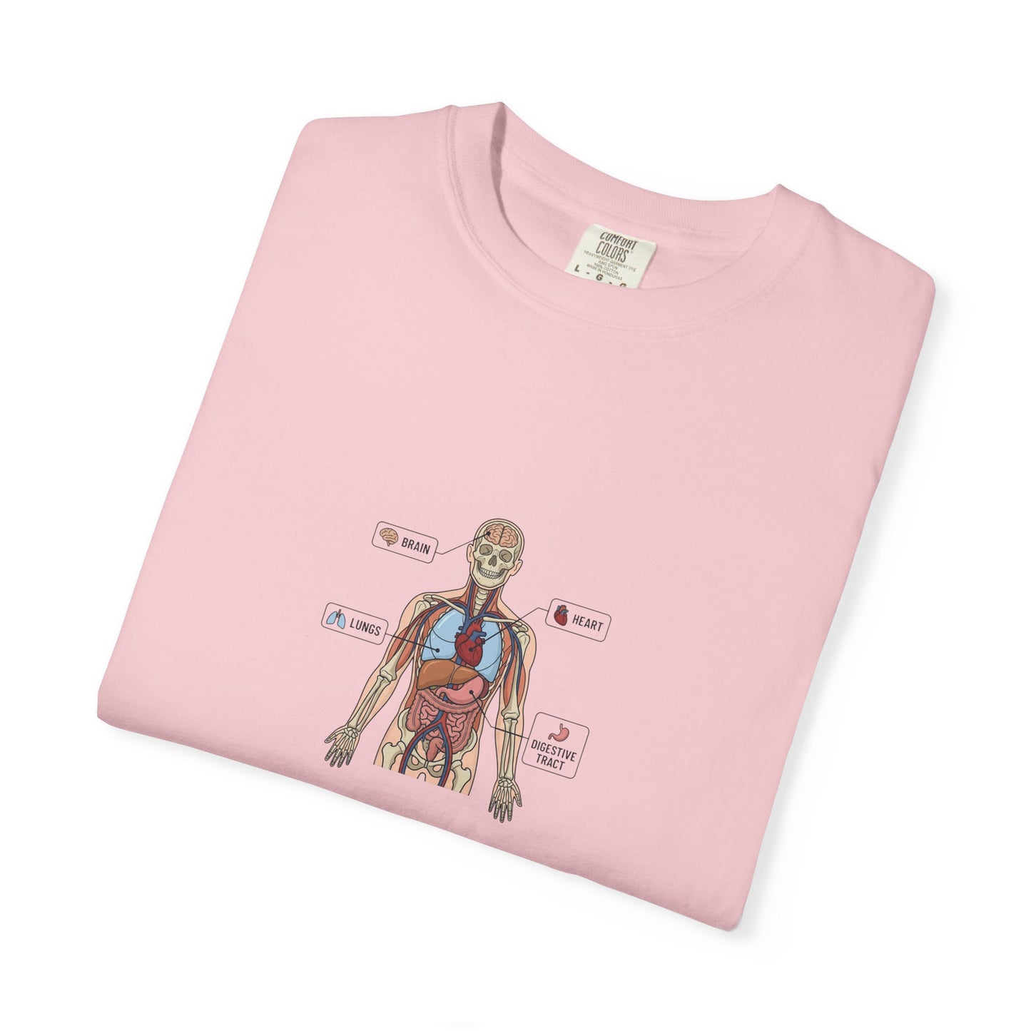 Human Anatomy Diagram T-Shirt — Medical Student Anatomy Tee