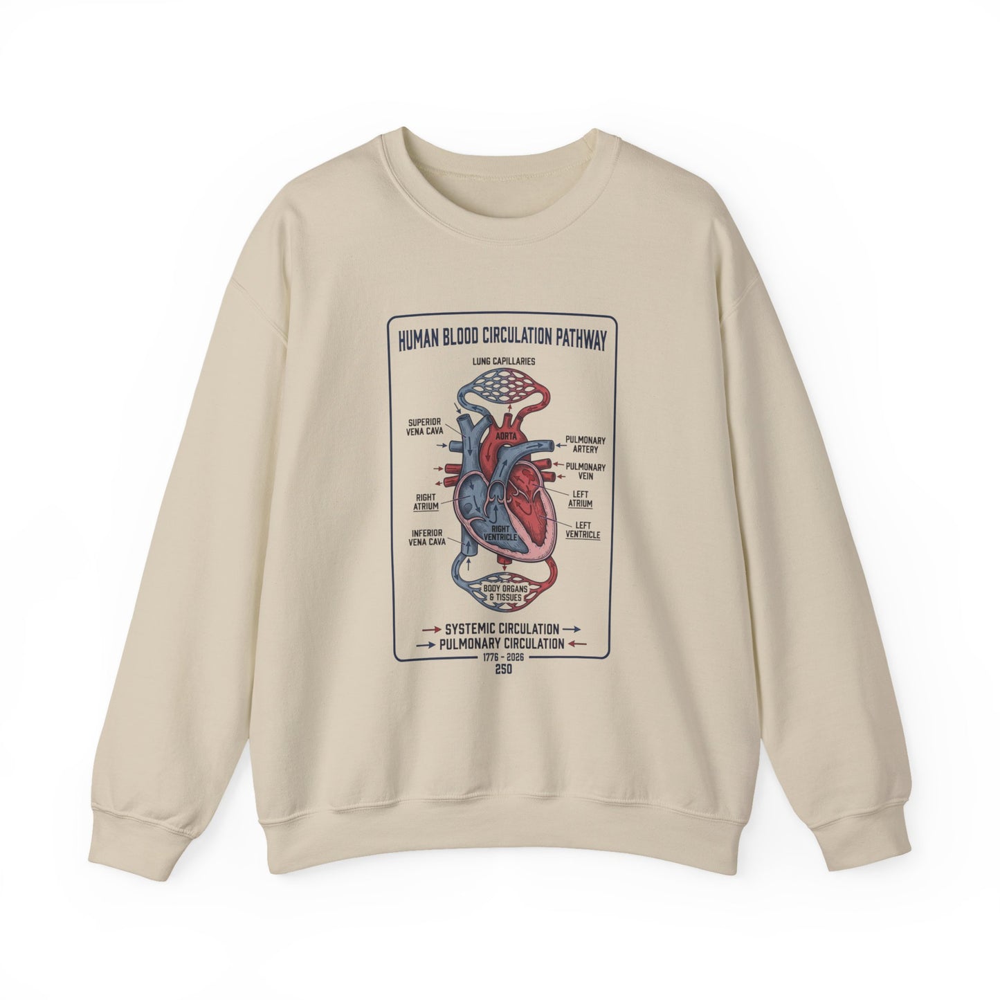 Anatomical Heart Diagram Sweatshirt | 250th 4th of July Patriotic Milestone