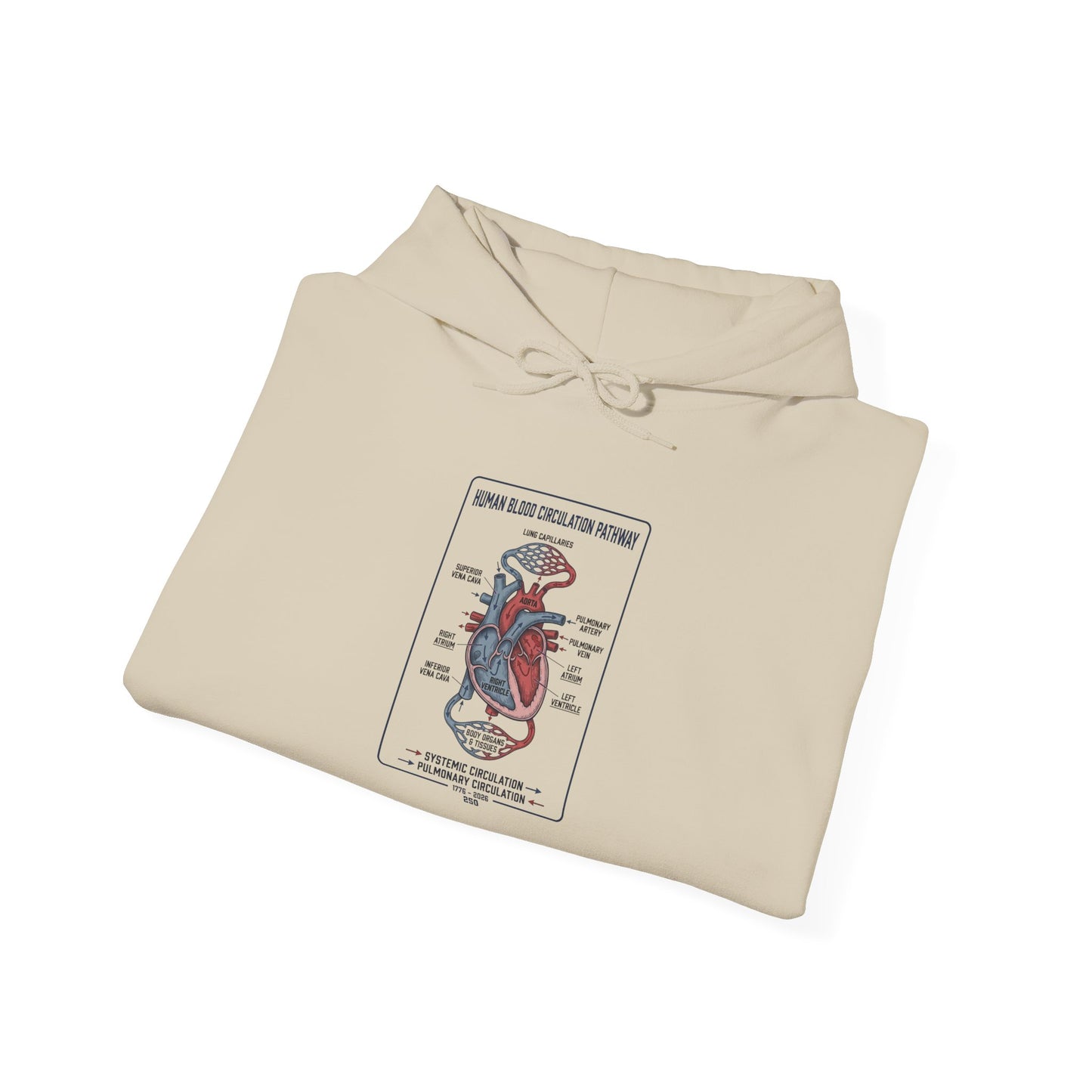 250th Anniversary Patriotic Anatomy Heart Hoodie | 4th of July Independence Sweatshirt