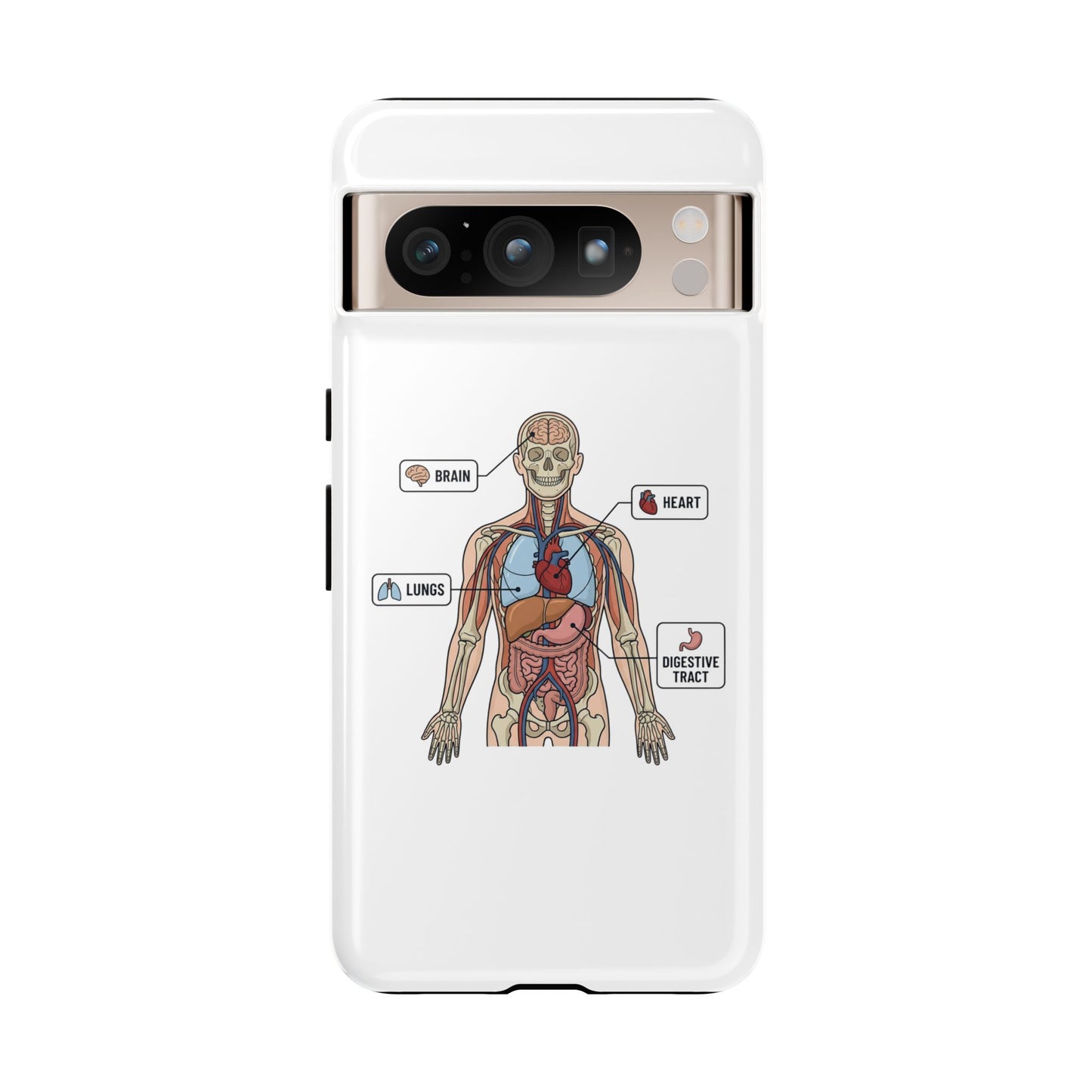 Anatomy Case — Medical Student Human Anatomy Study Aid
