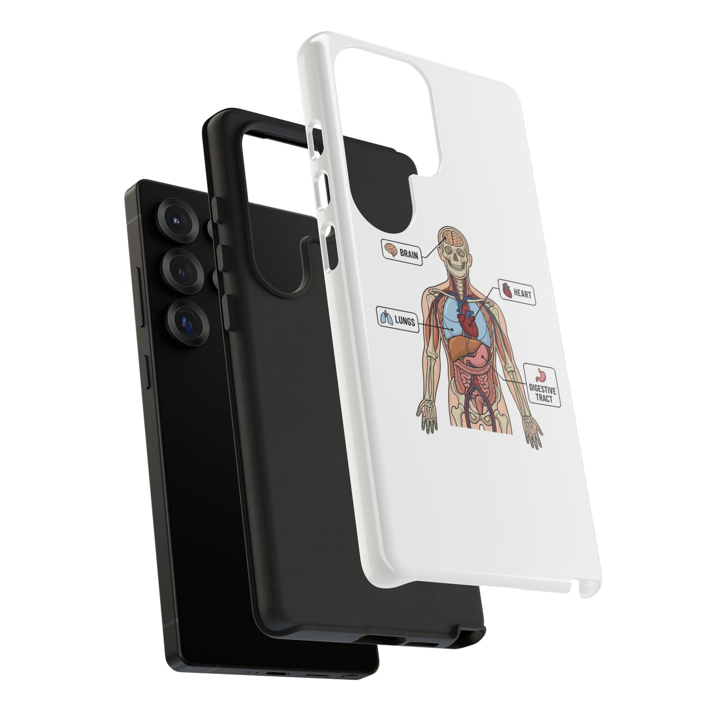 Anatomy Case — Medical Student Human Anatomy Study Aid