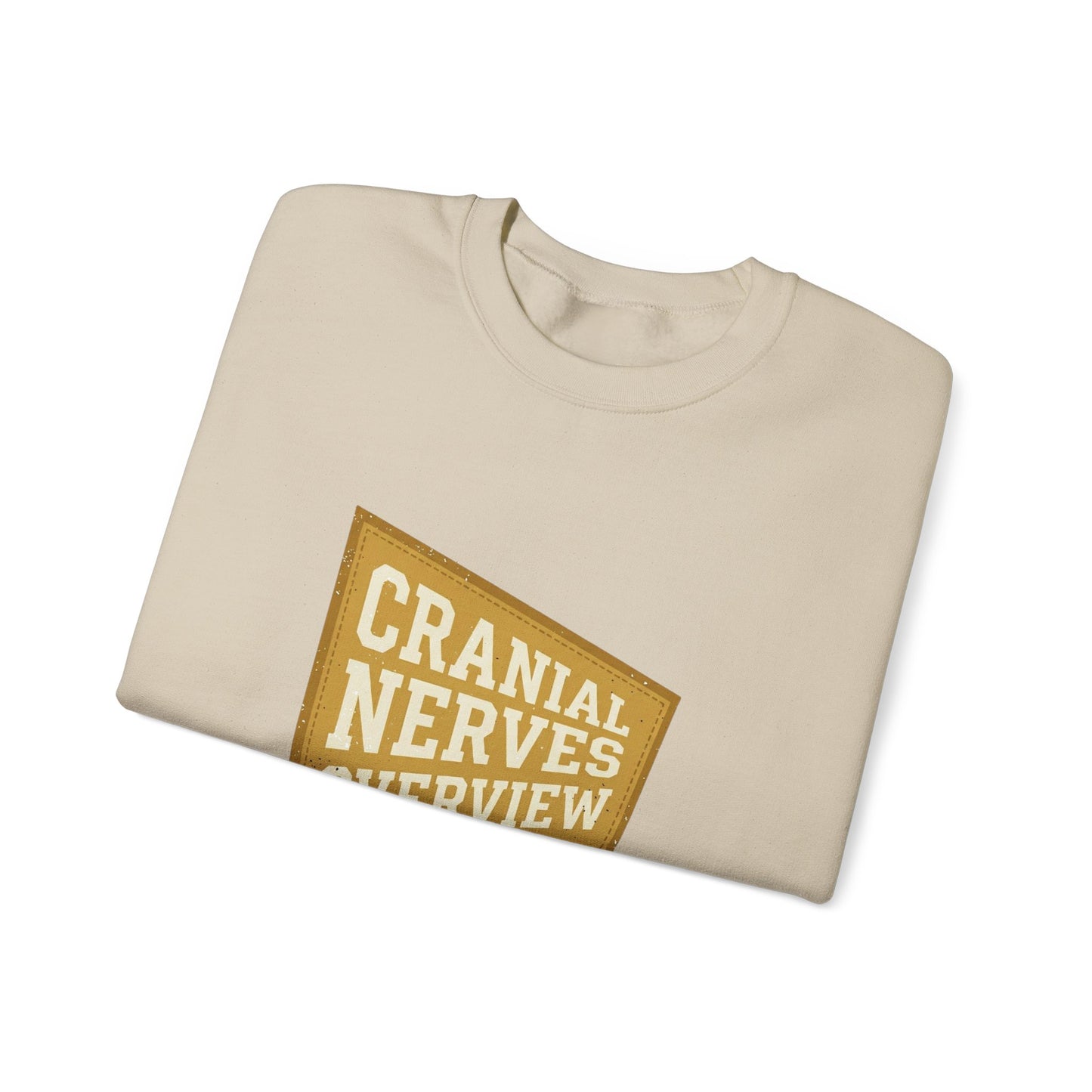 Cranial Nerves Overview Sweatshirt | Retro Anatomy, Easy Tiger Vibe