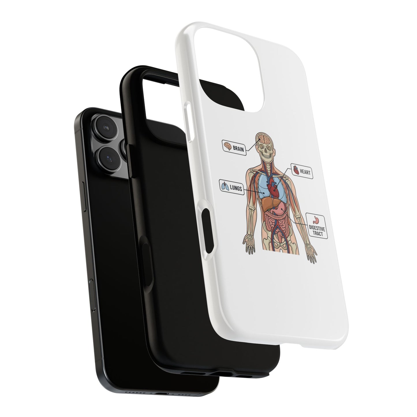 Anatomy Case — Medical Student Human Anatomy Study Aid