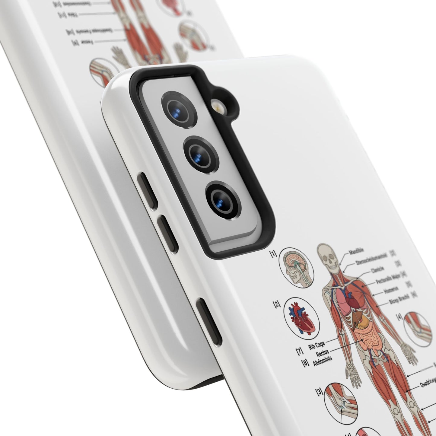 Anatomy Study Phone Case — Human Anatomy Diagram for Medical Students
