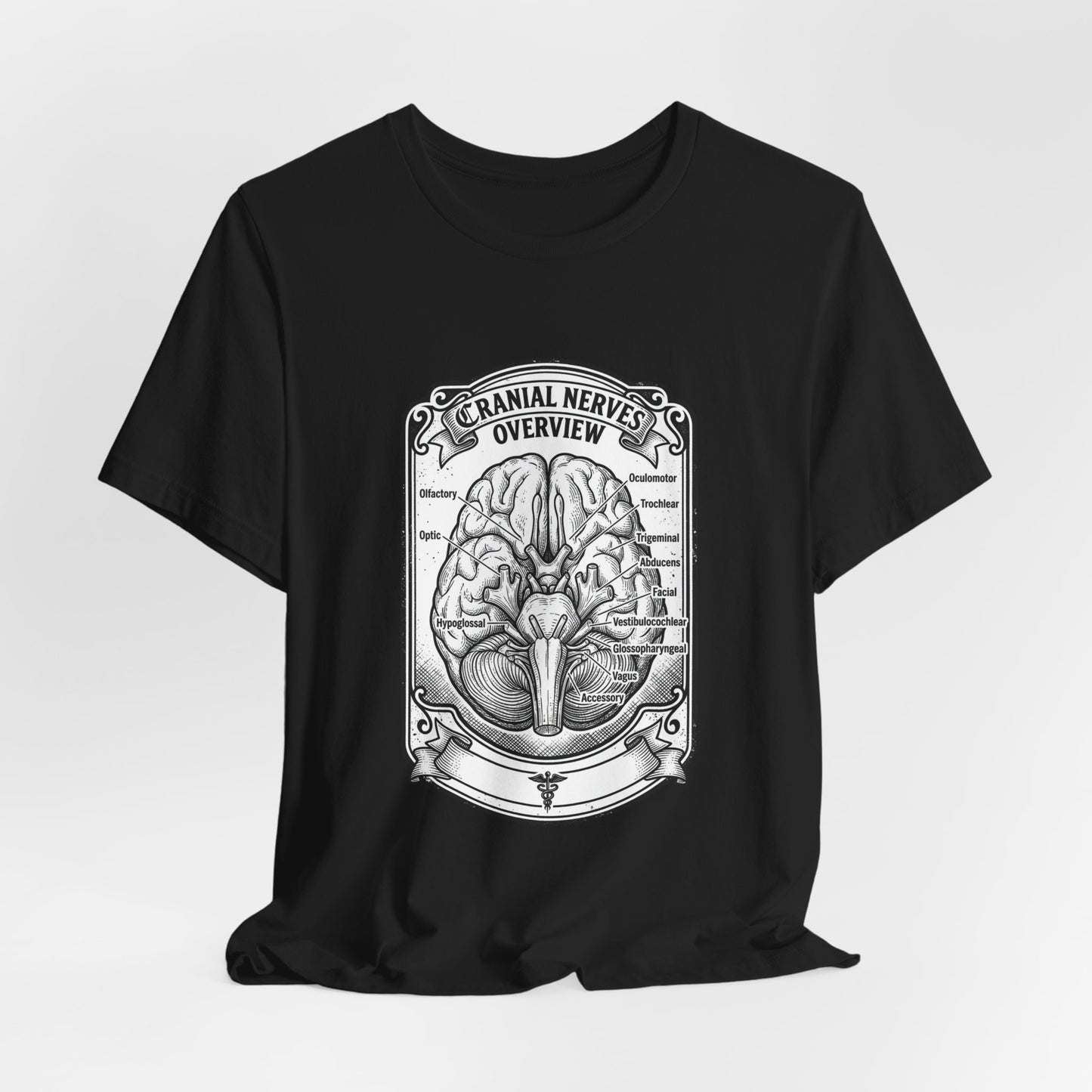 Cranial Nerves Illustration Tee | People Over Profit, Values-Led Apparel