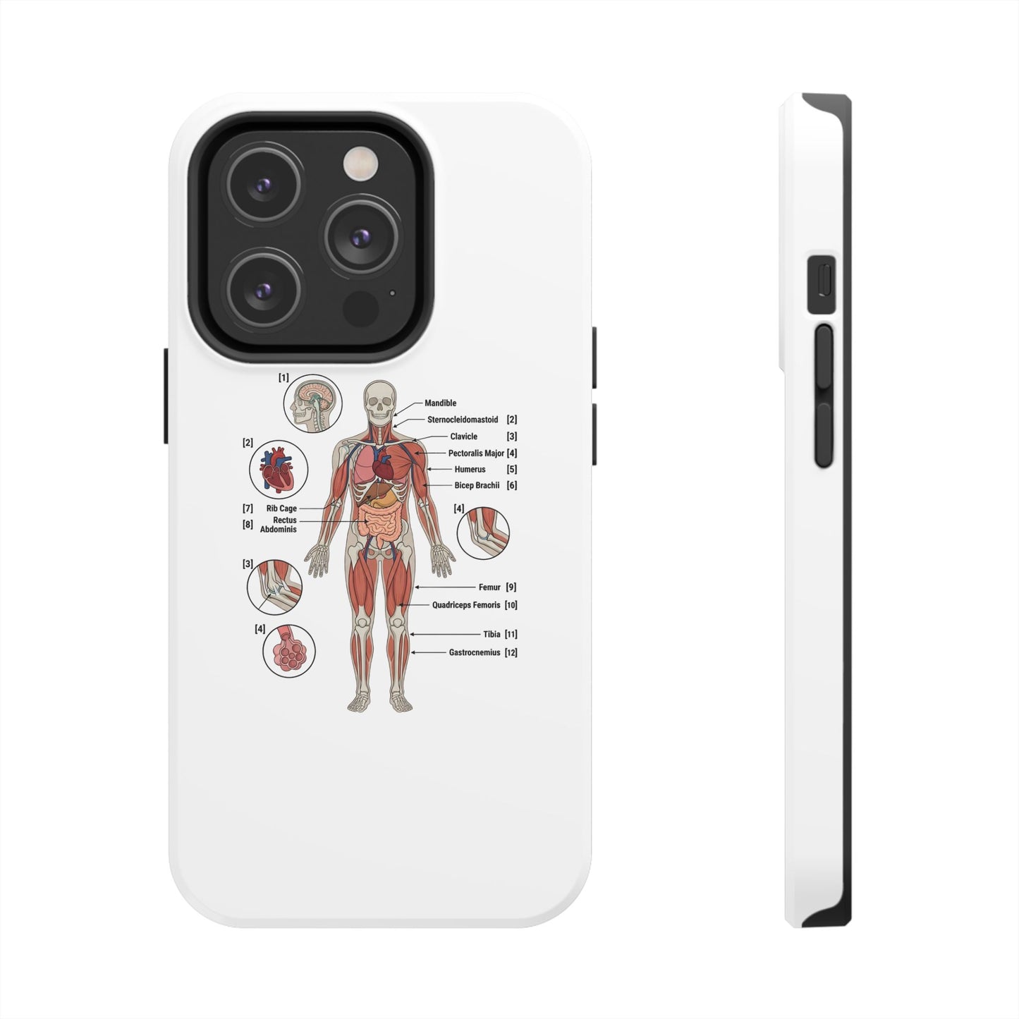 Anatomy Study Phone Case — Human Anatomy Diagram for Medical Students