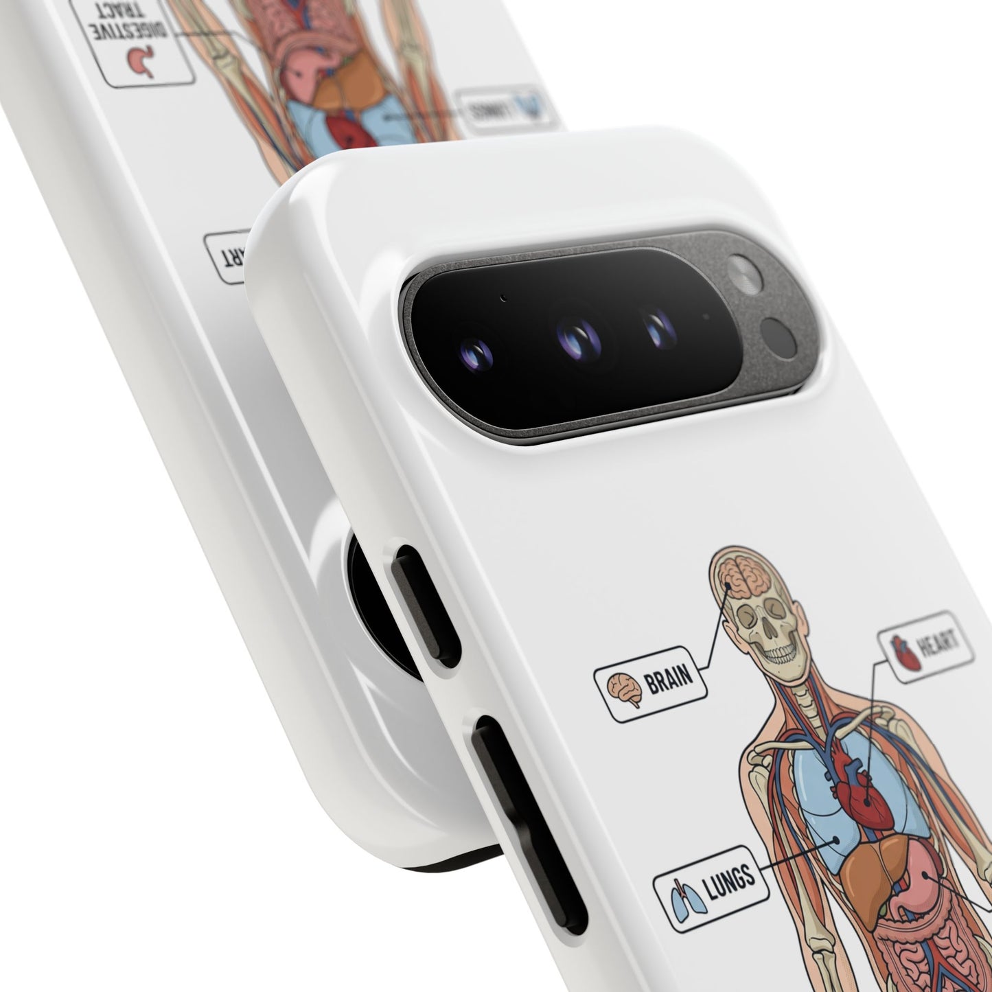 Anatomy Case — Medical Student Human Anatomy Study Aid