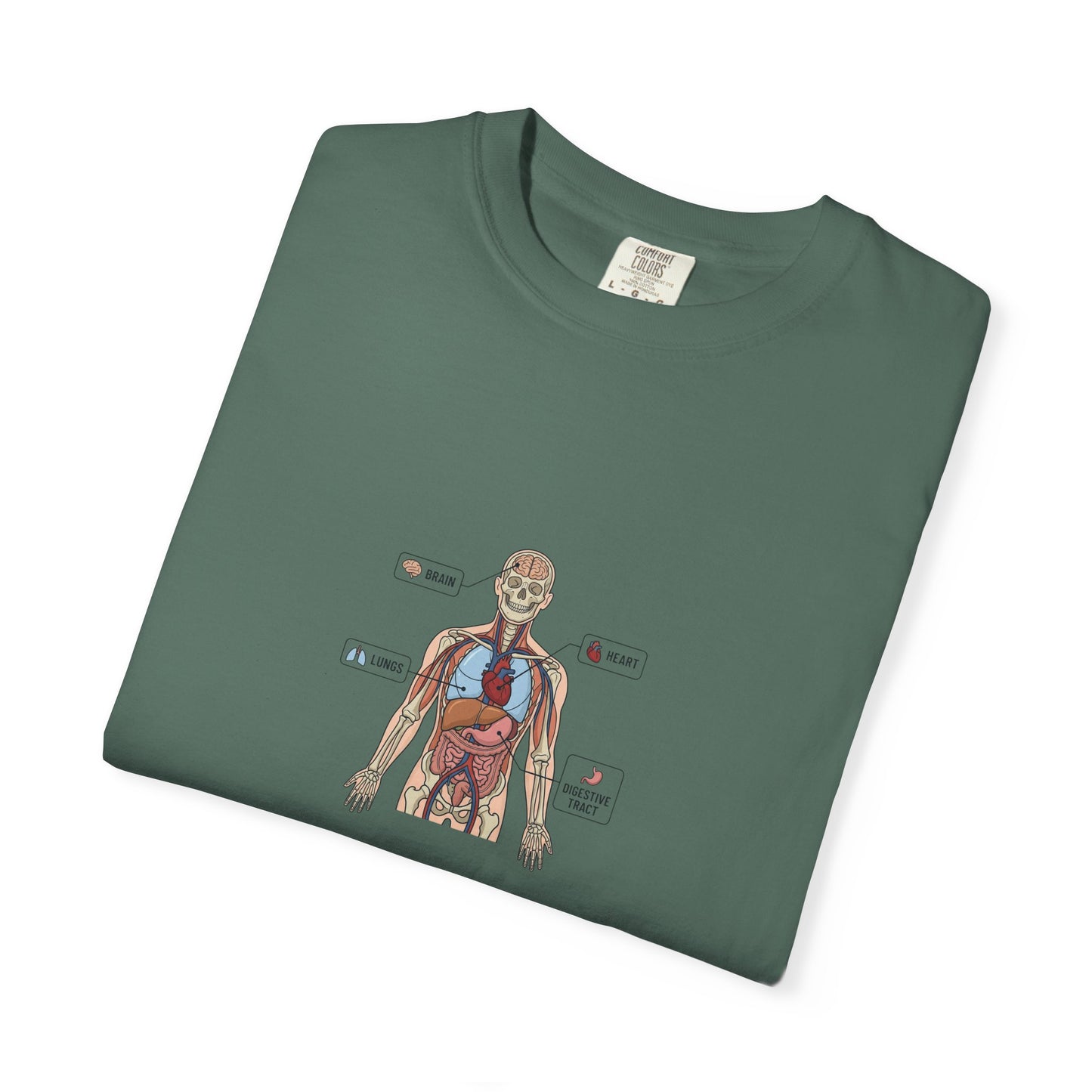Human Anatomy Diagram T-Shirt — Medical Student Anatomy Tee