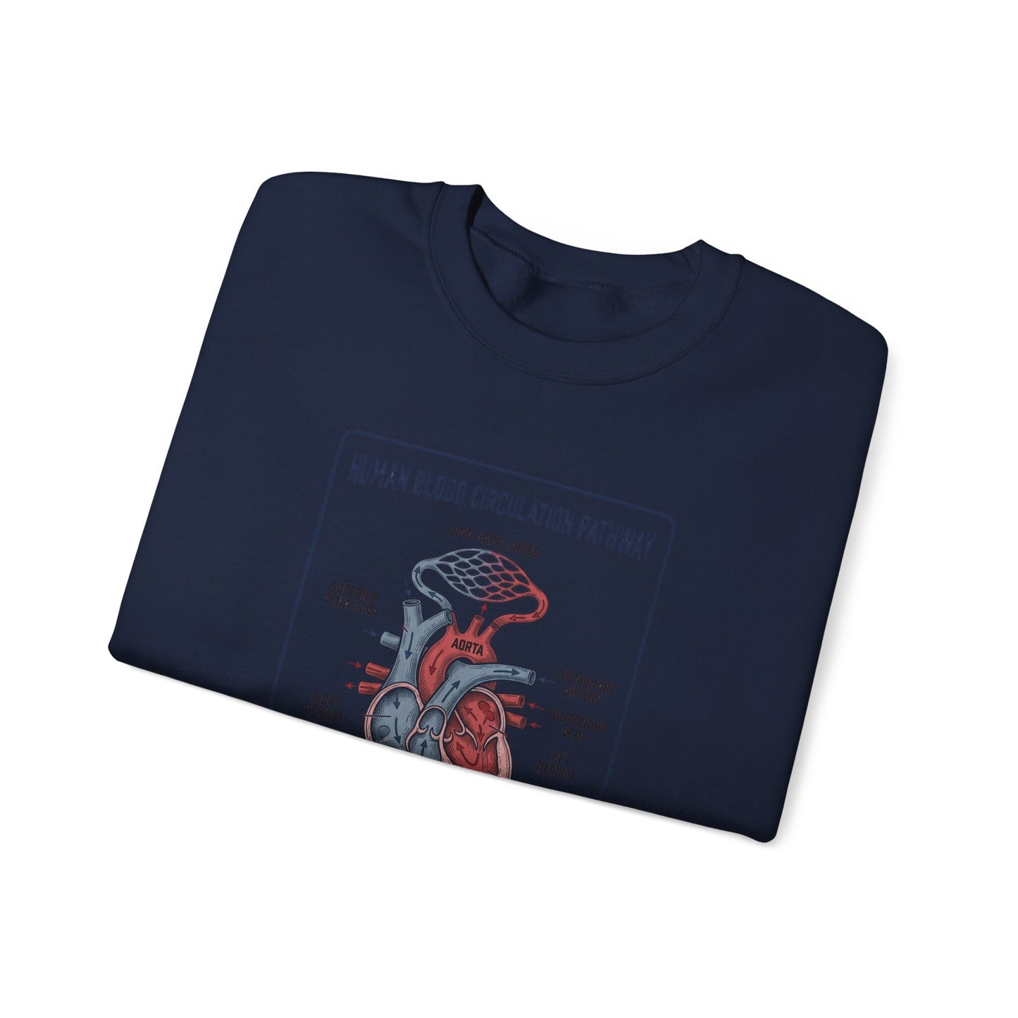Anatomical Heart Diagram Sweatshirt | 250th 4th of July Patriotic Milestone