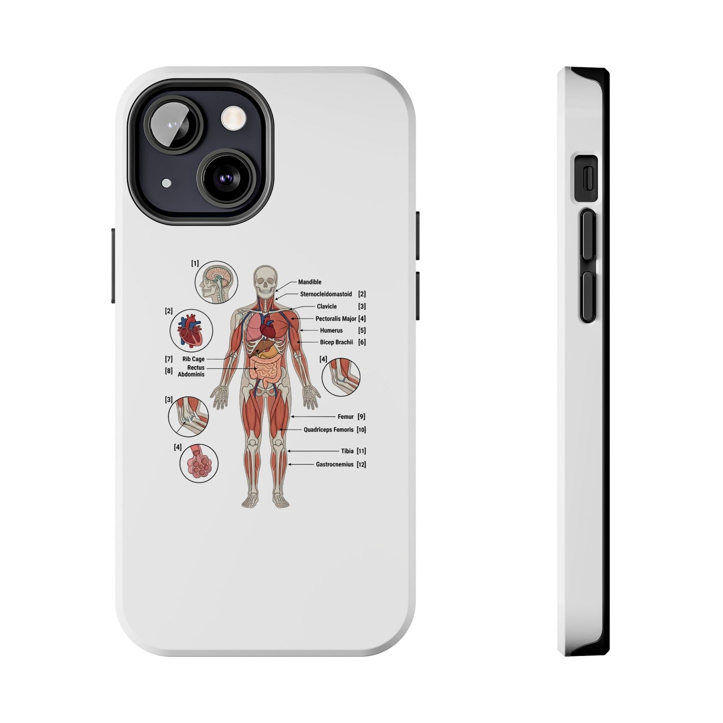 Anatomy Study Phone Case — Human Anatomy Diagram for Medical Students