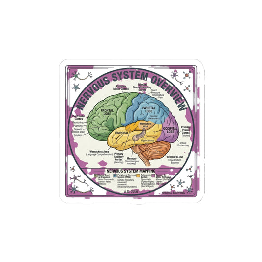 Nervous System Brain Diagram Sticker | 250th 4th of July Patriotic Milestone