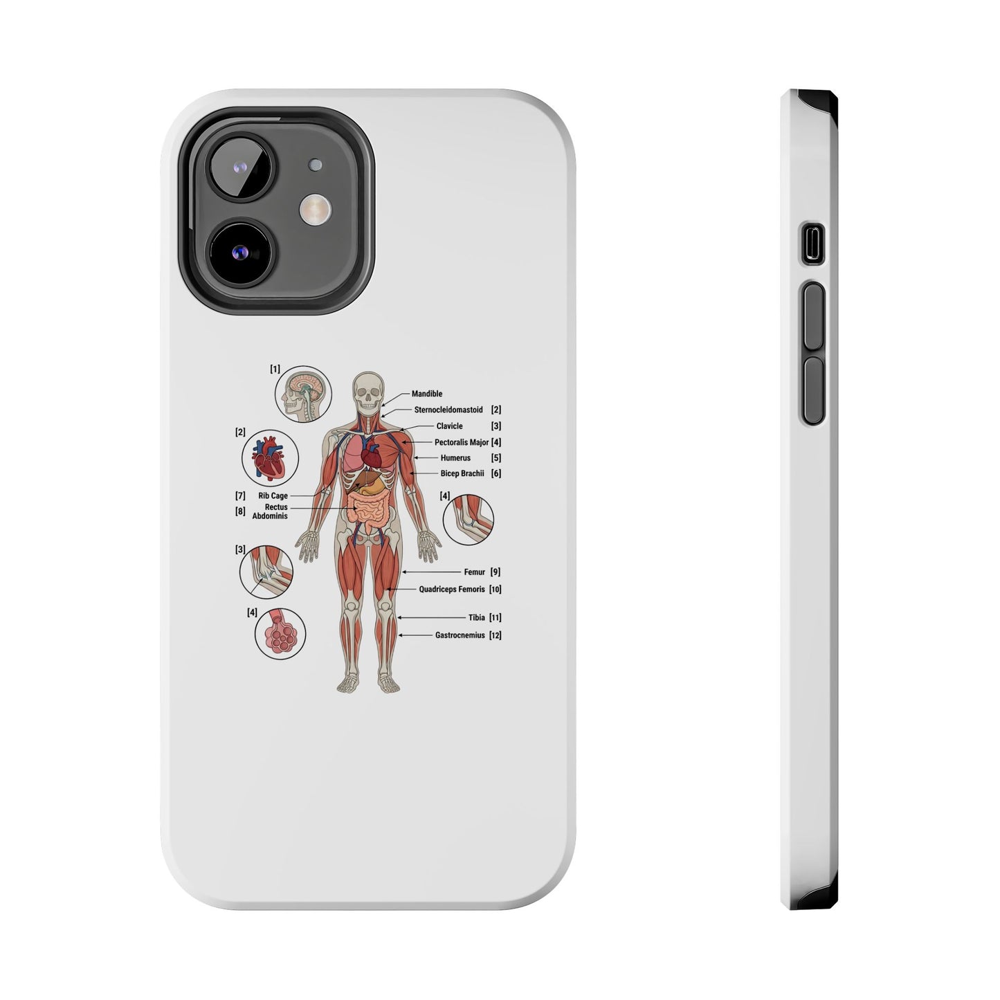 Anatomy Study Phone Case — Human Anatomy Diagram for Medical Students
