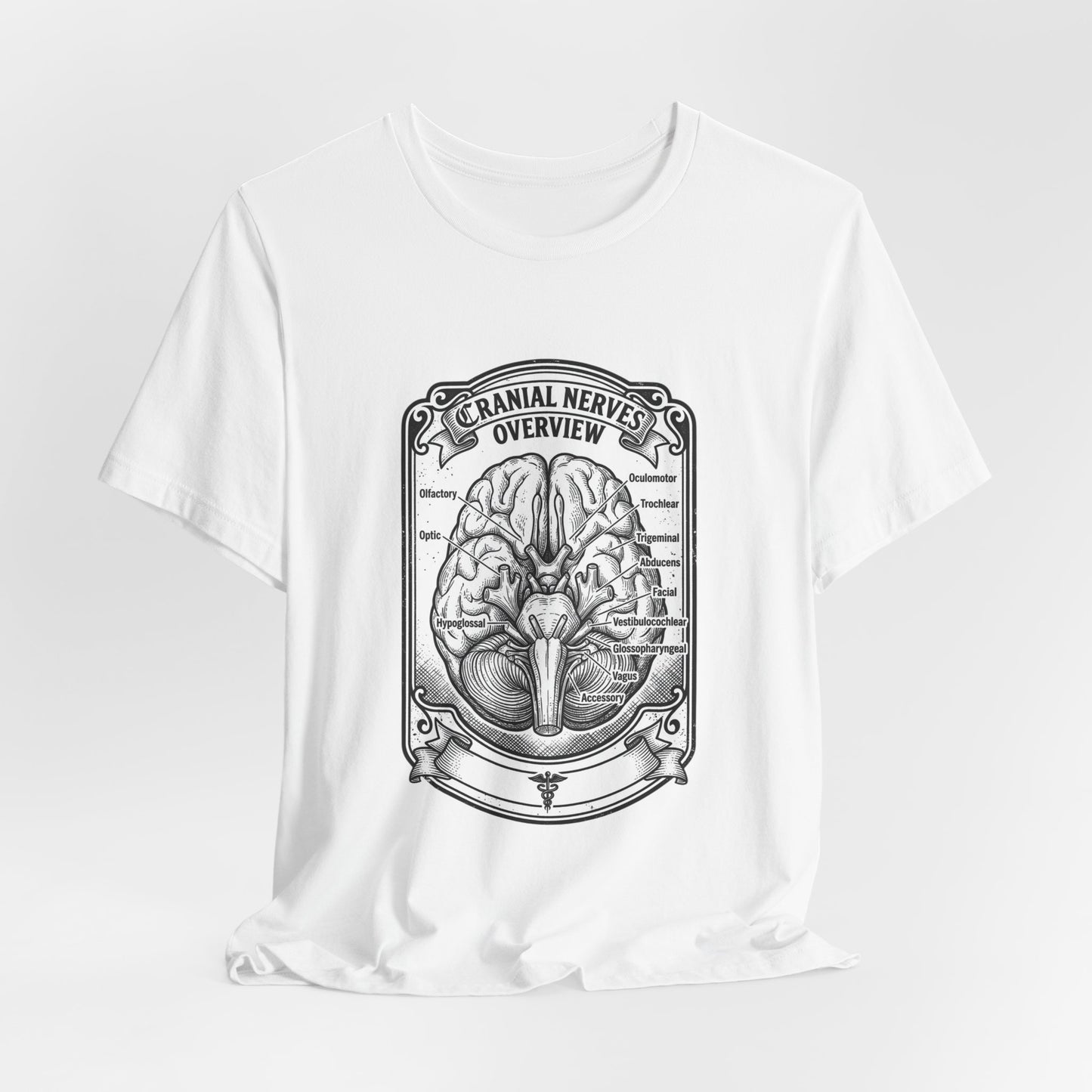Cranial Nerves Illustration Tee | People Over Profit, Values-Led Apparel