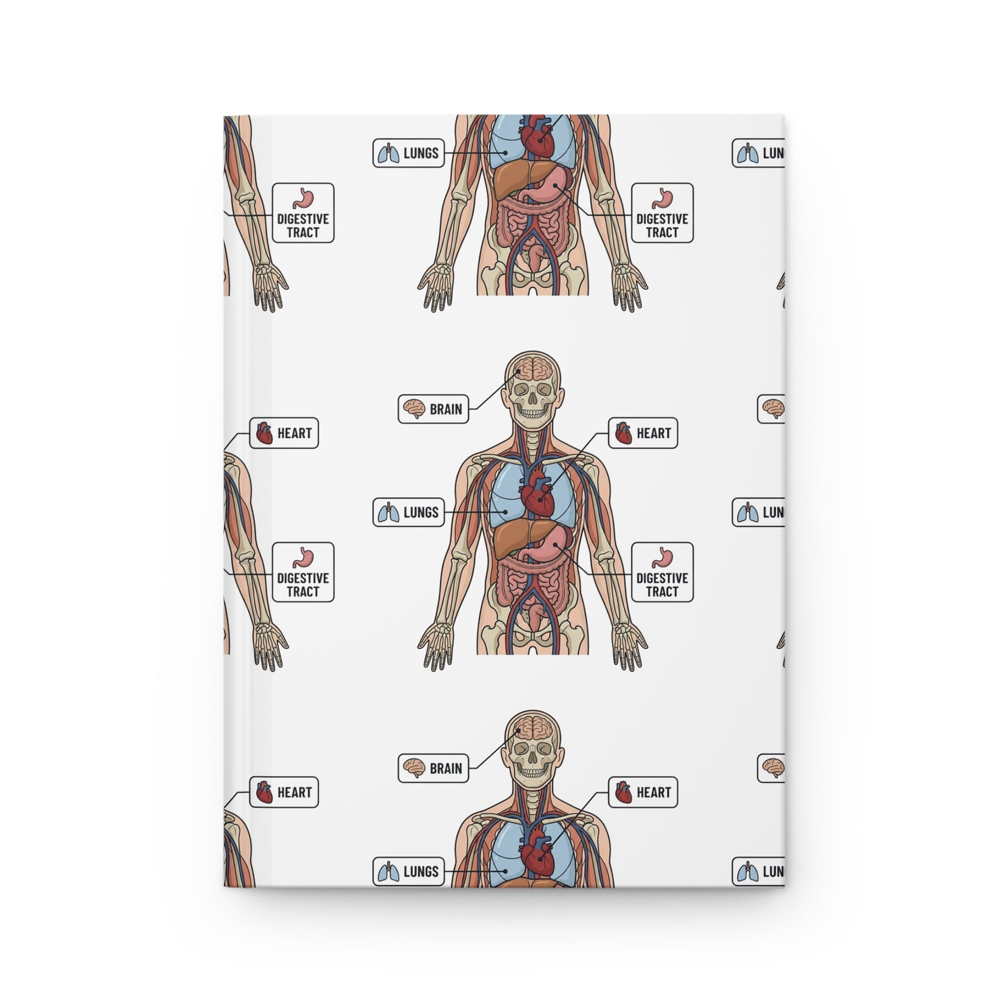 Human Anatomy Hardcover Journal — Medical Student Anatomy Notebook
