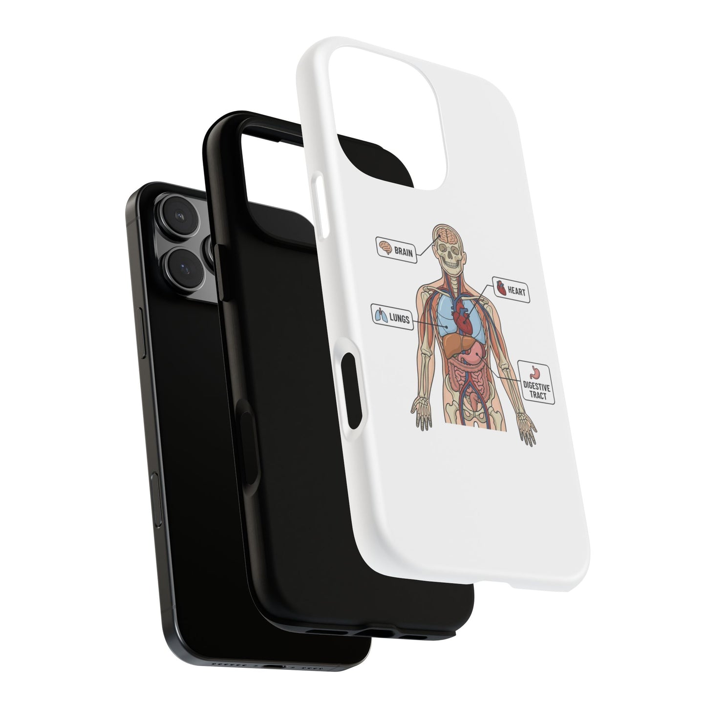 Anatomy Case — Medical Student Human Anatomy Study Aid