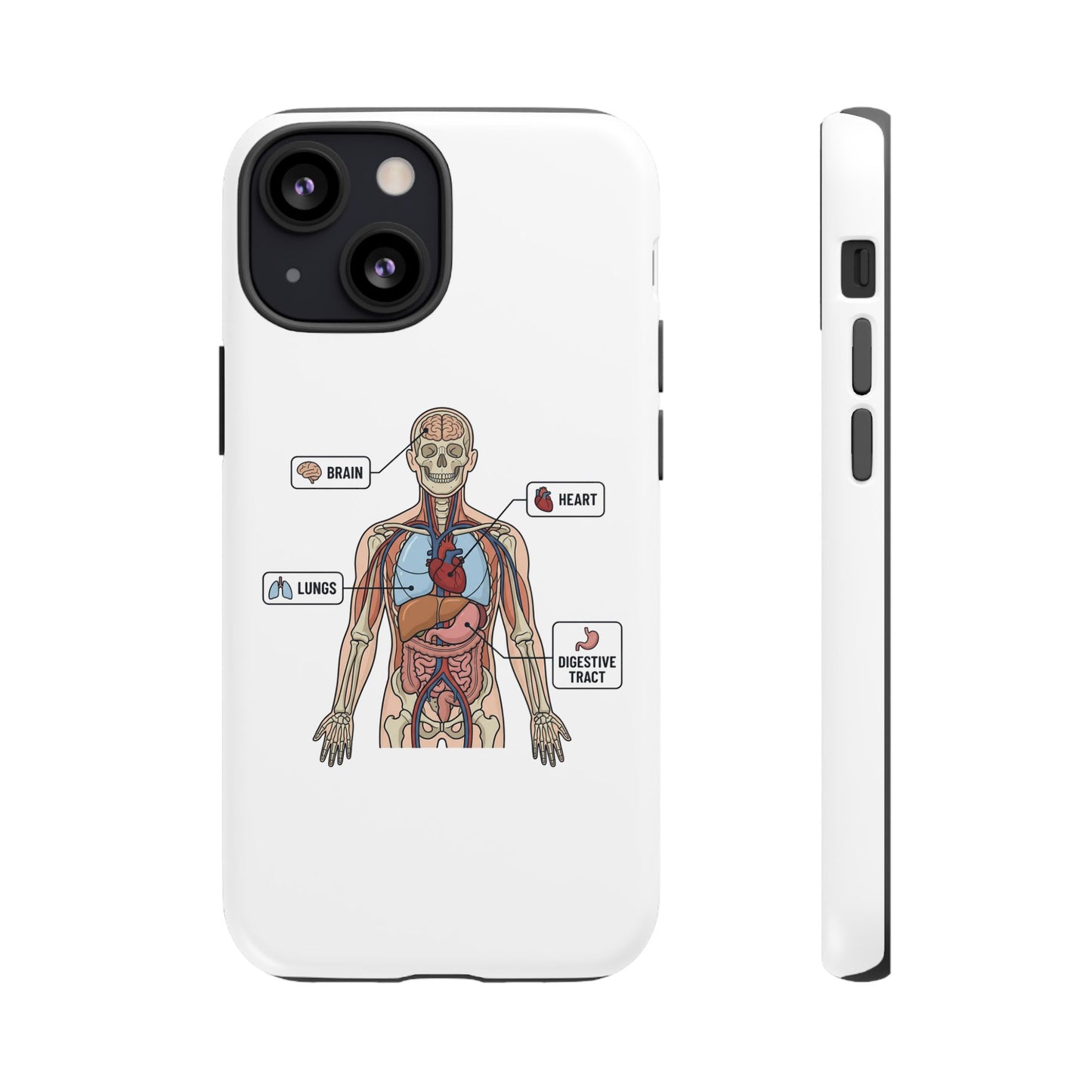 Anatomy Case — Medical Student Human Anatomy Study Aid