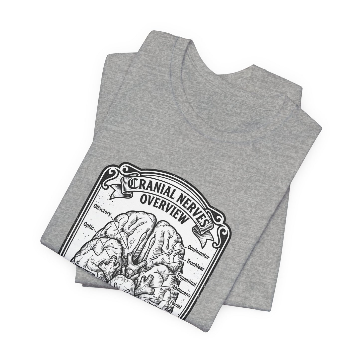 Cranial Nerves Illustration Tee | People Over Profit, Values-Led Apparel
