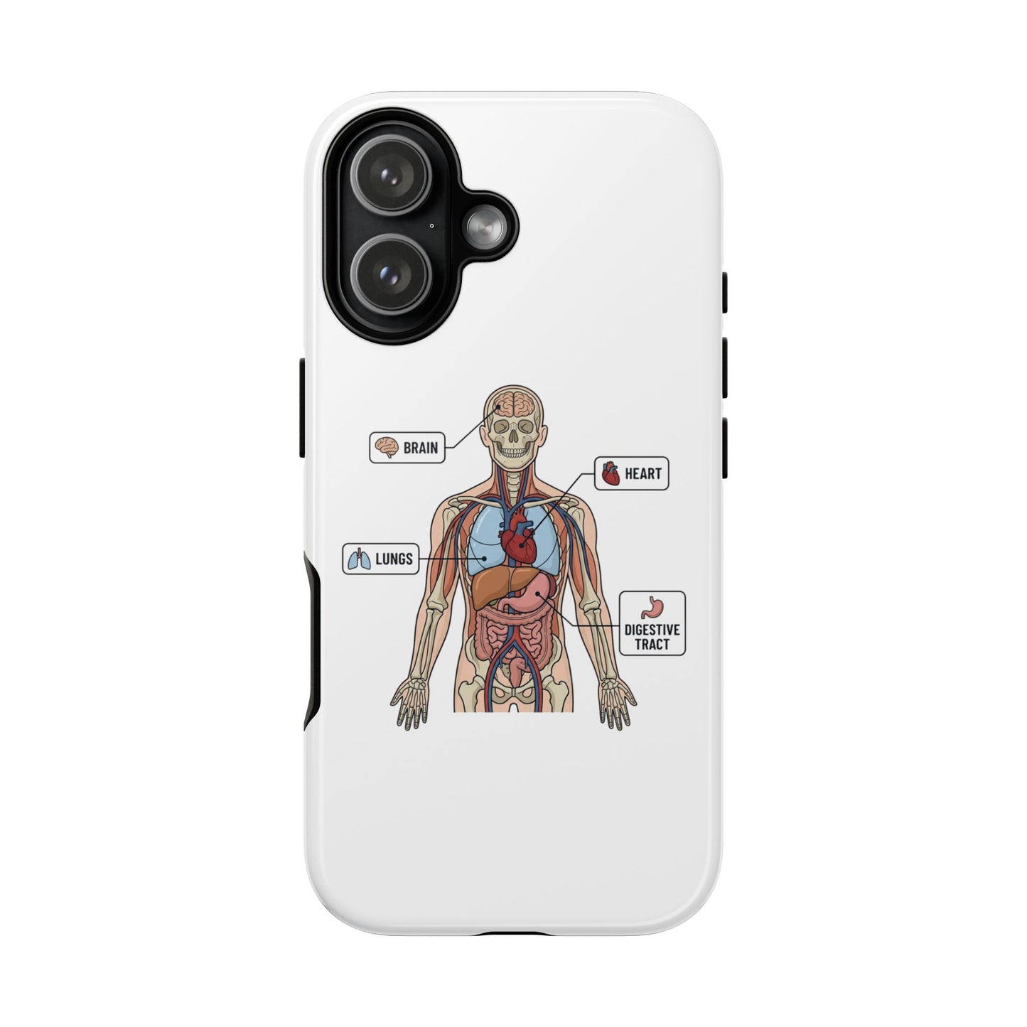 Anatomy Case — Medical Student Human Anatomy Study Aid