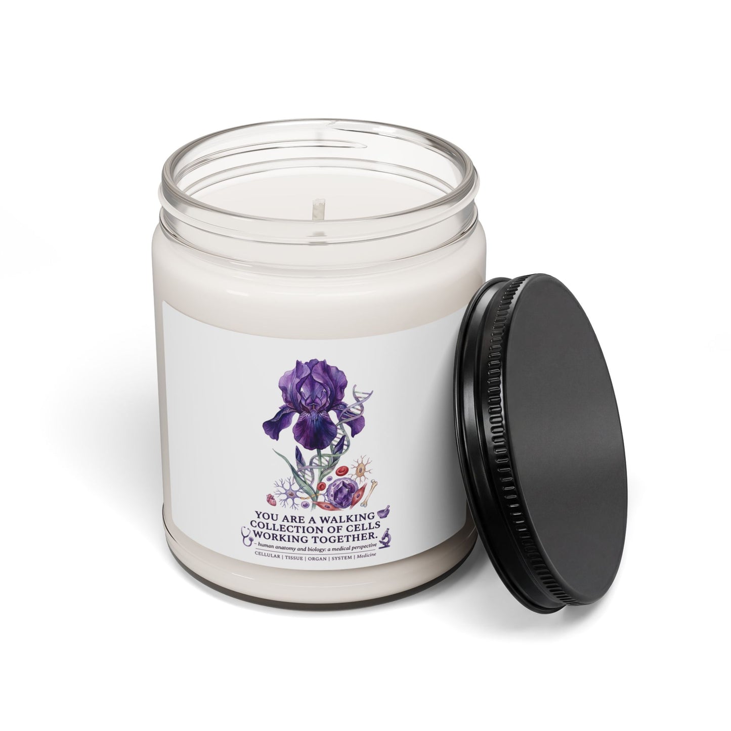 Iris Birth Flower Candle | Soy Scented Jar, Botanical Birth Month