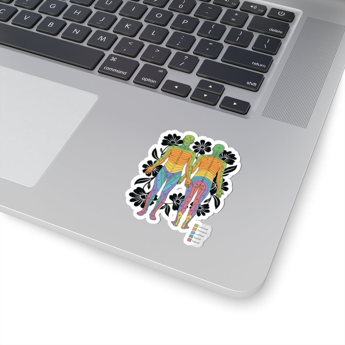 Chakra Anatomy Diagram Sticker | People Over Profit, Values-Led