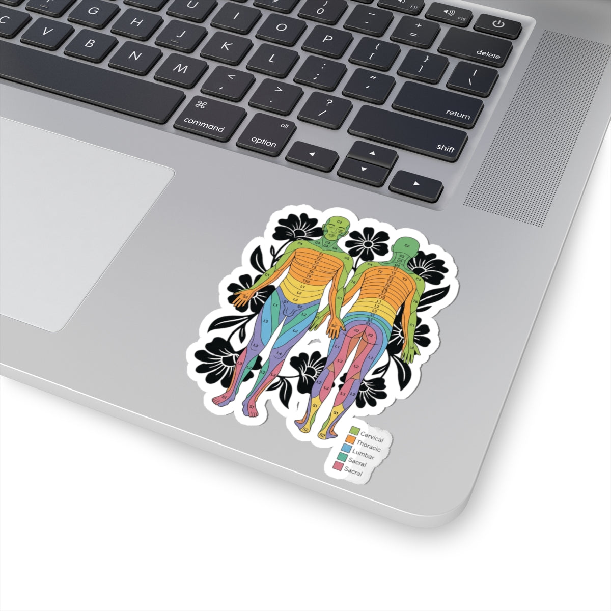 Chakra Anatomy Diagram Sticker | People Over Profit, Values-Led