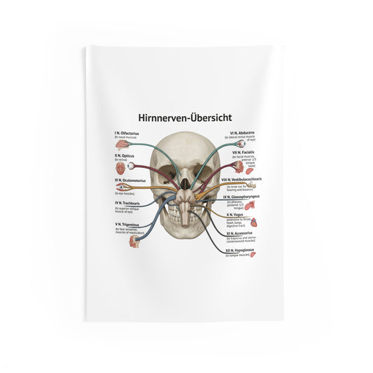Hirnnerven-Übersicht Wall Tapestry — Anatomical Cranial Nerves Chart