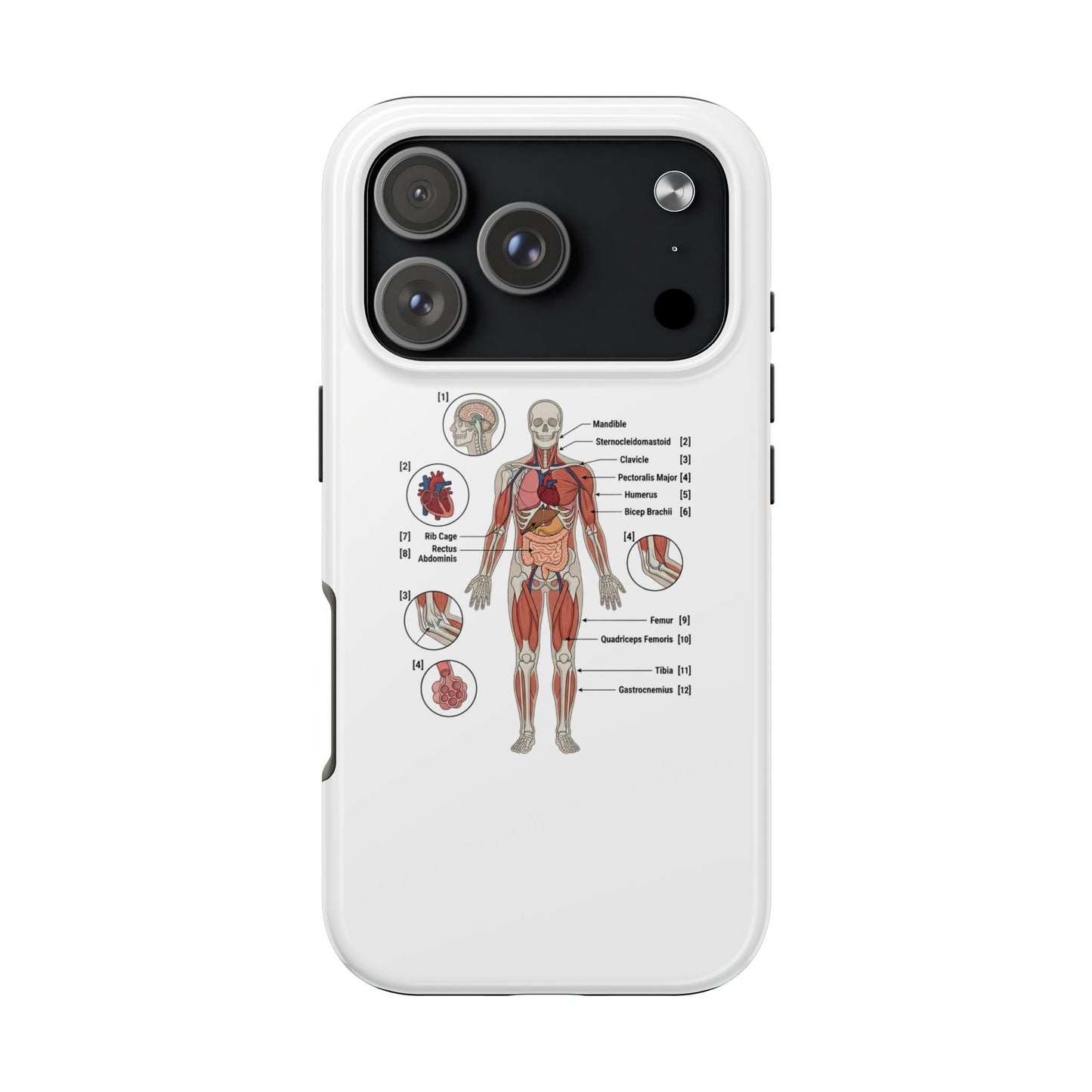 Anatomy Study Phone Case — Human Anatomy Diagram for Medical Students