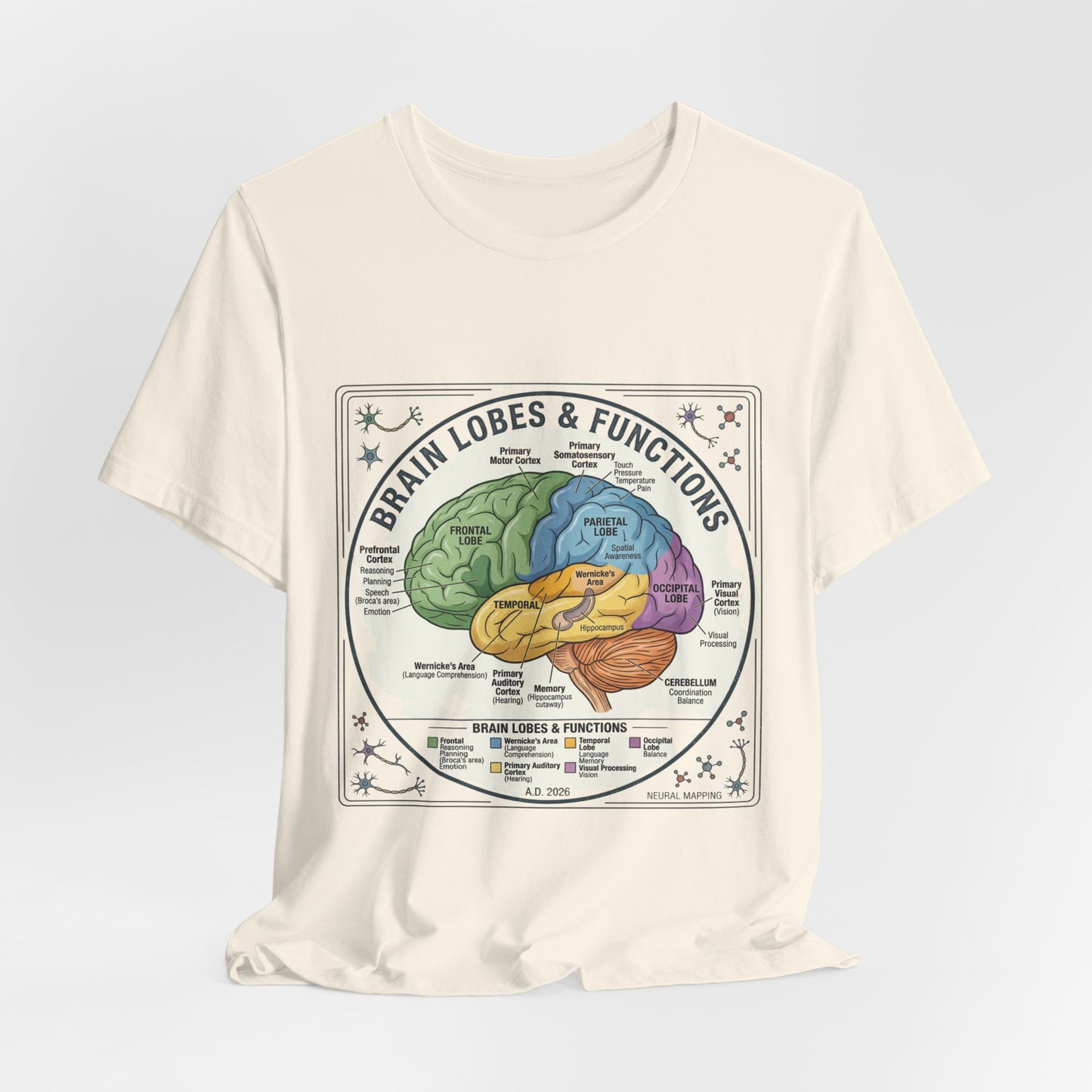 Brain Lobes & Functions T-Shirt | 250th Fourth of July, Patriotic Milestone