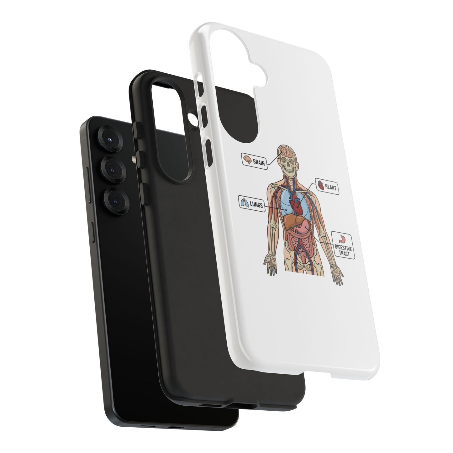 Anatomy Case — Medical Student Human Anatomy Study Aid