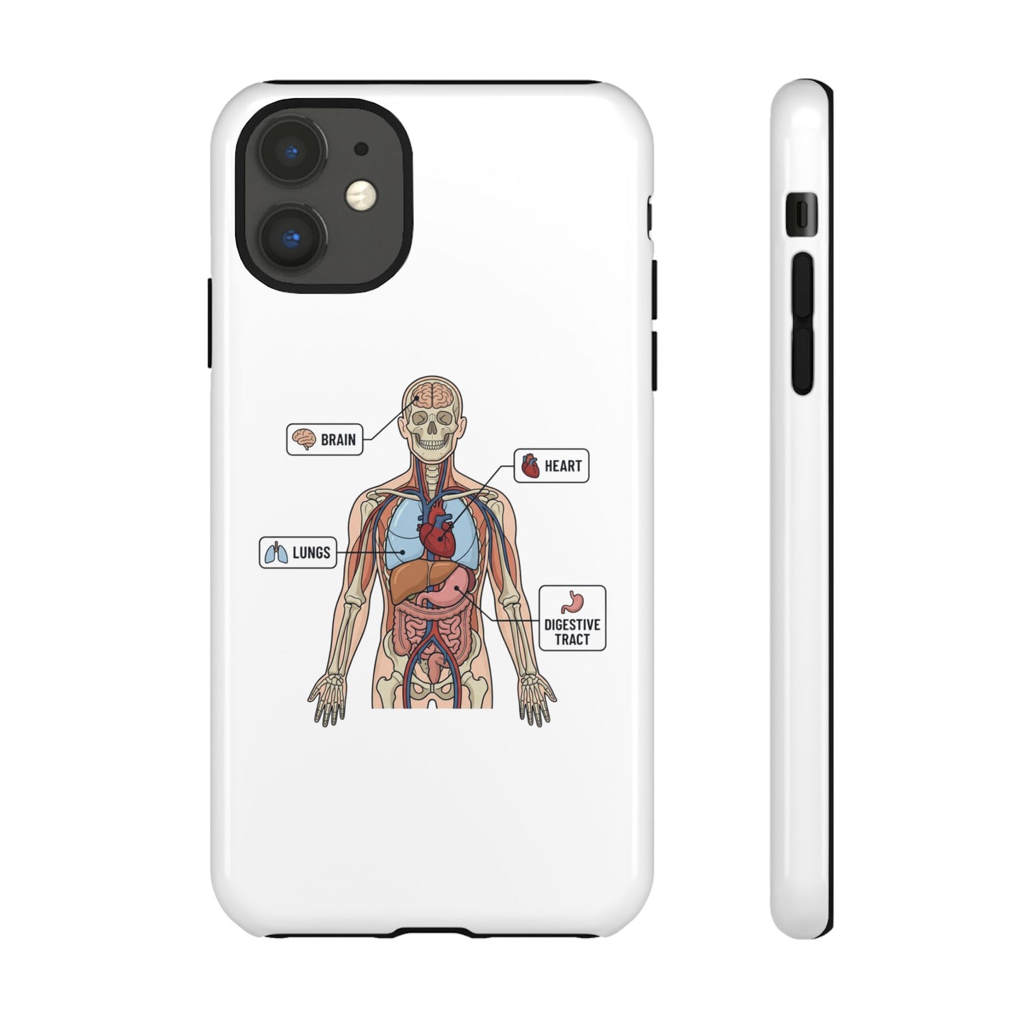 Anatomy Case — Medical Student Human Anatomy Study Aid