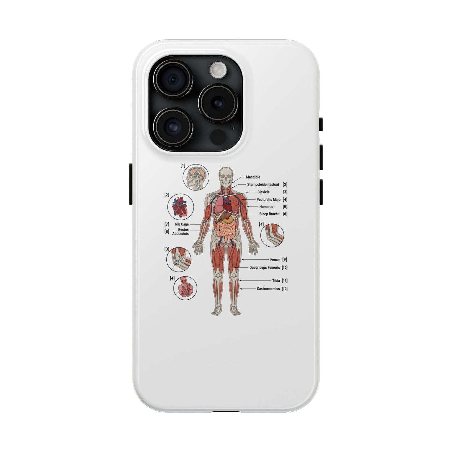 Anatomy Study Phone Case — Human Anatomy Diagram for Medical Students