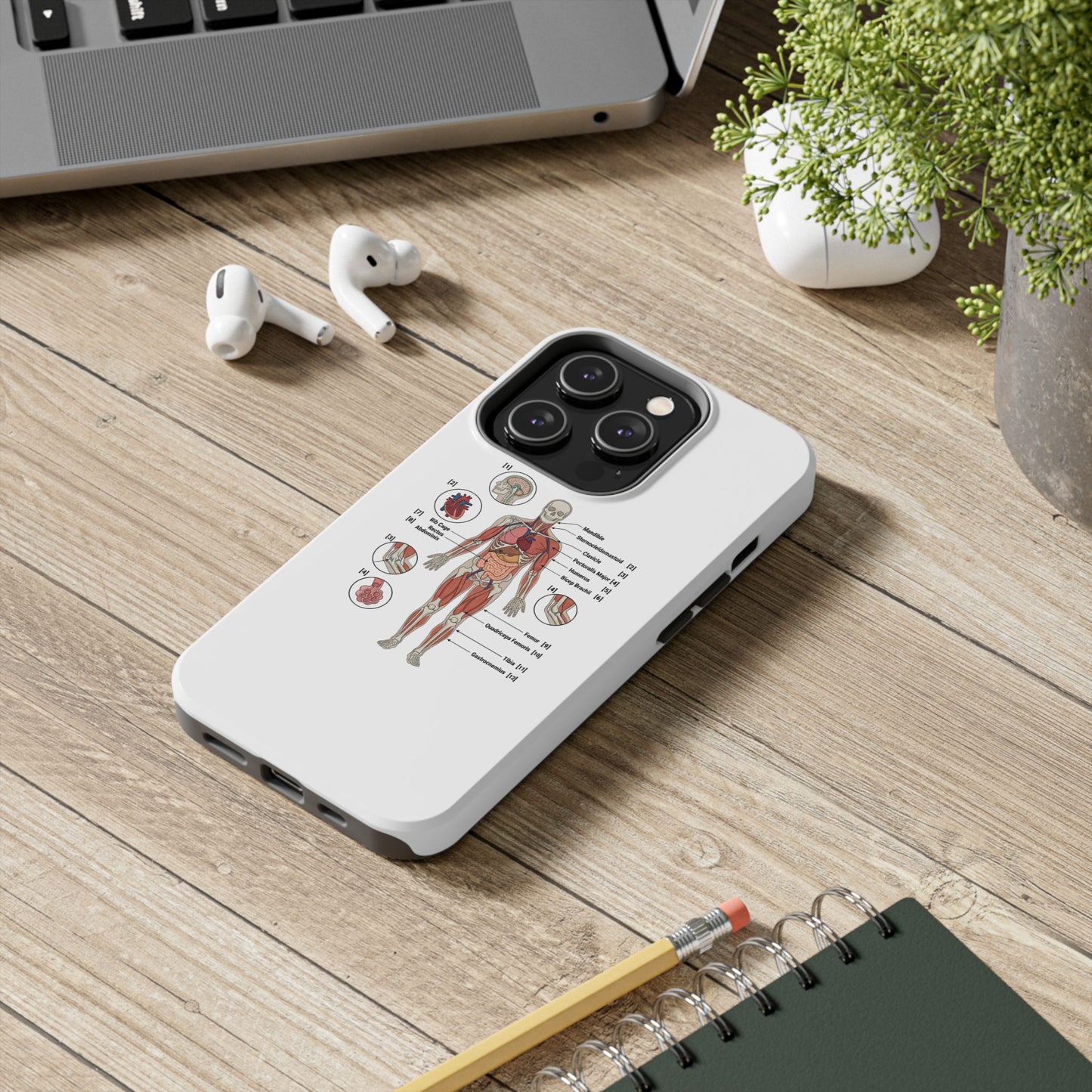Anatomy Study Phone Case — Human Anatomy Diagram for Medical Students
