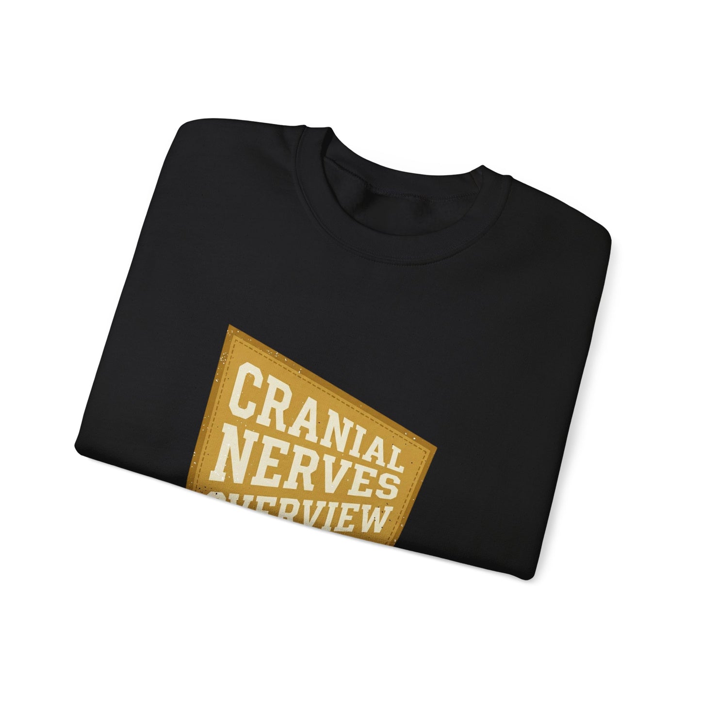 Cranial Nerves Overview Sweatshirt | Retro Anatomy, Easy Tiger Vibe
