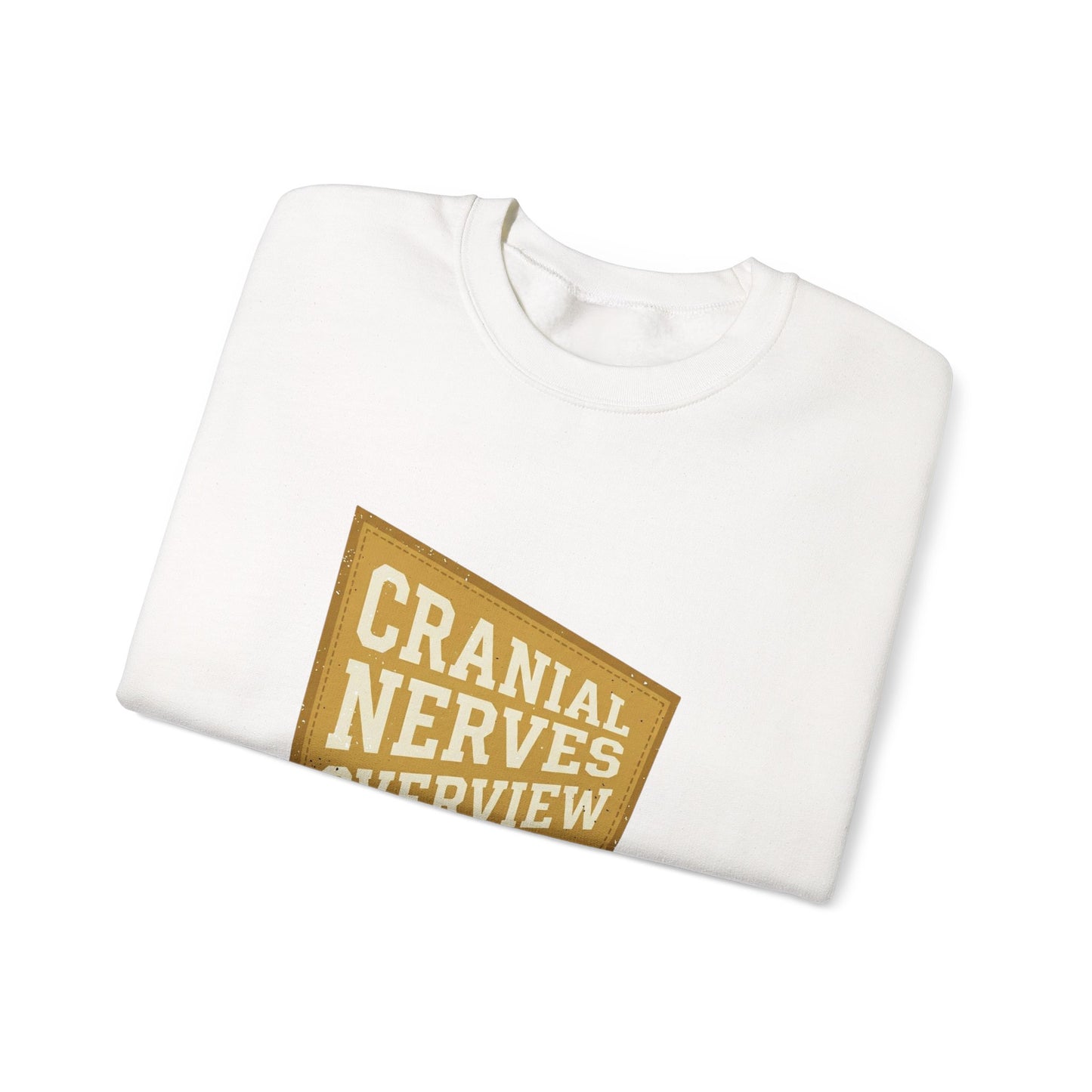 Cranial Nerves Overview Sweatshirt | Retro Anatomy, Easy Tiger Vibe