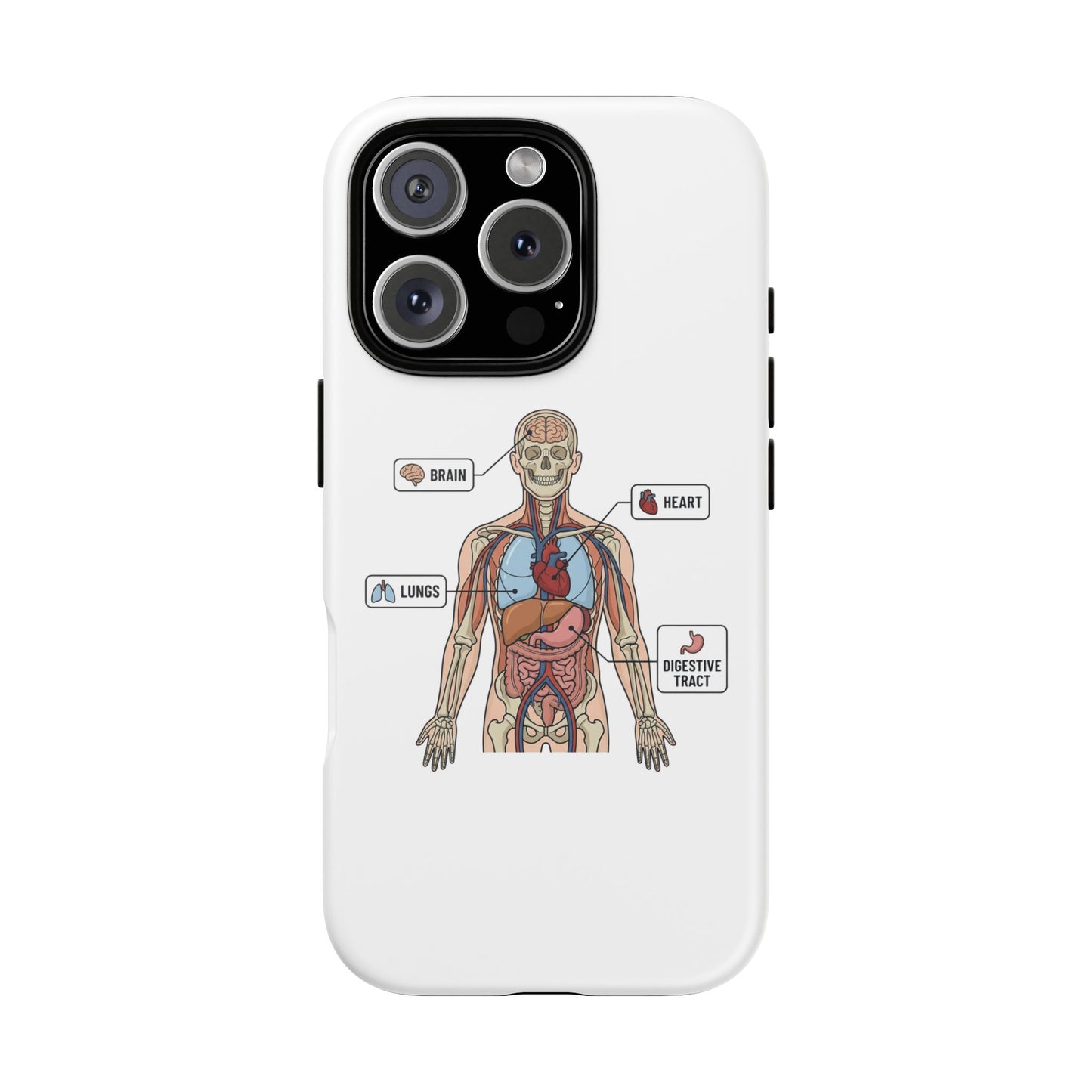 Anatomy Case — Medical Student Human Anatomy Study Aid